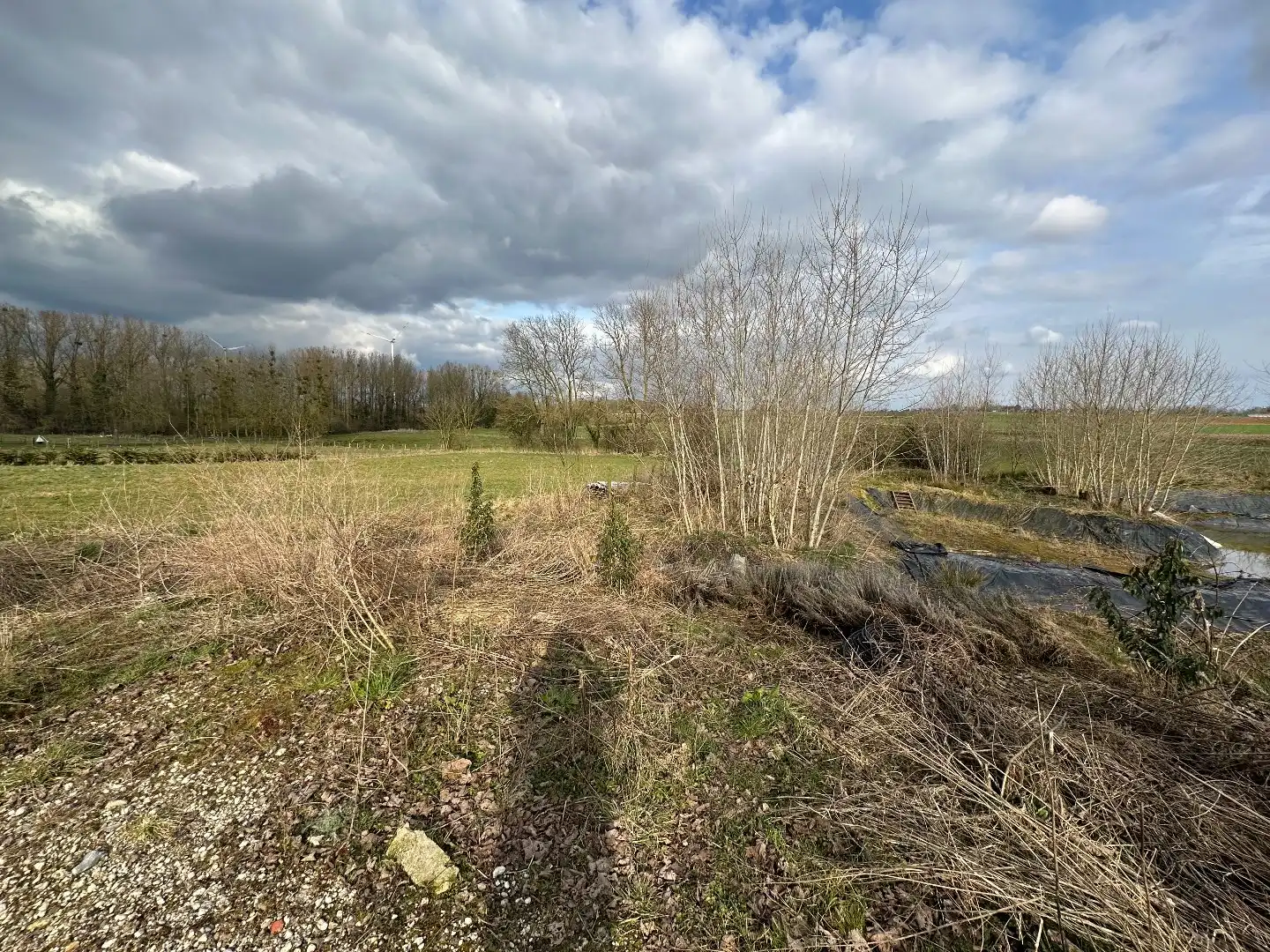 Unieke woning met enorm potentieel op perceel van 96 Are foto 6