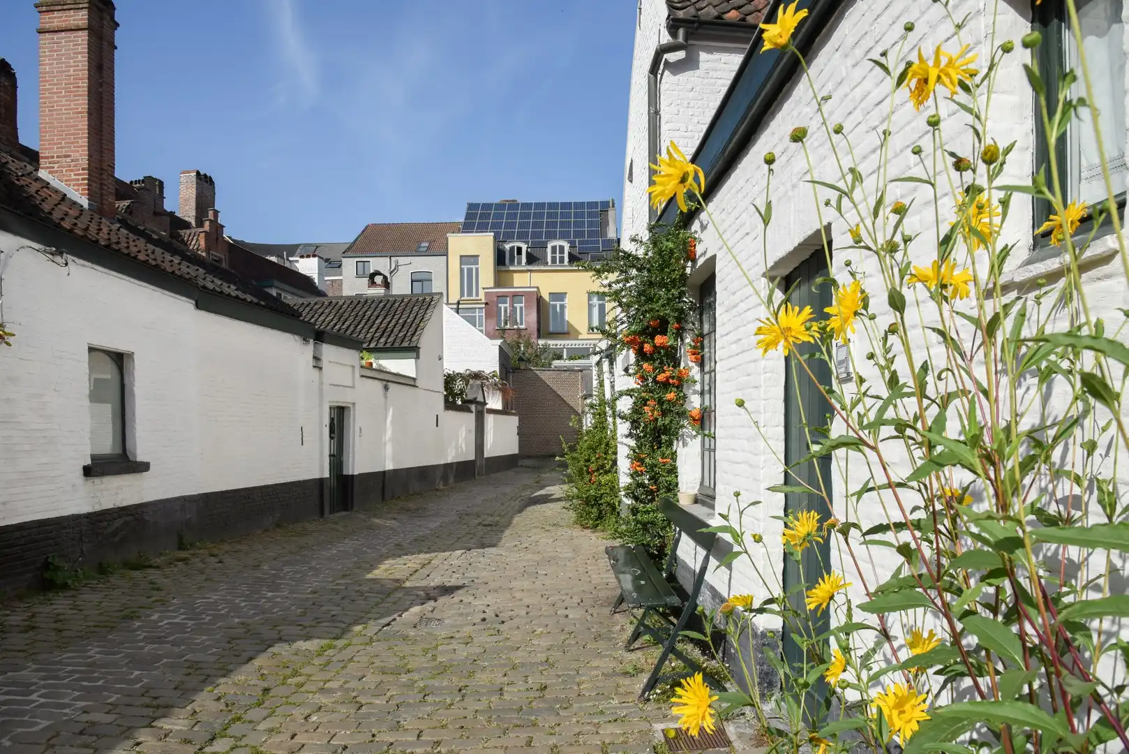 The Garden Boutique — Boutique living met private stadstuin in hartje Gent foto 7