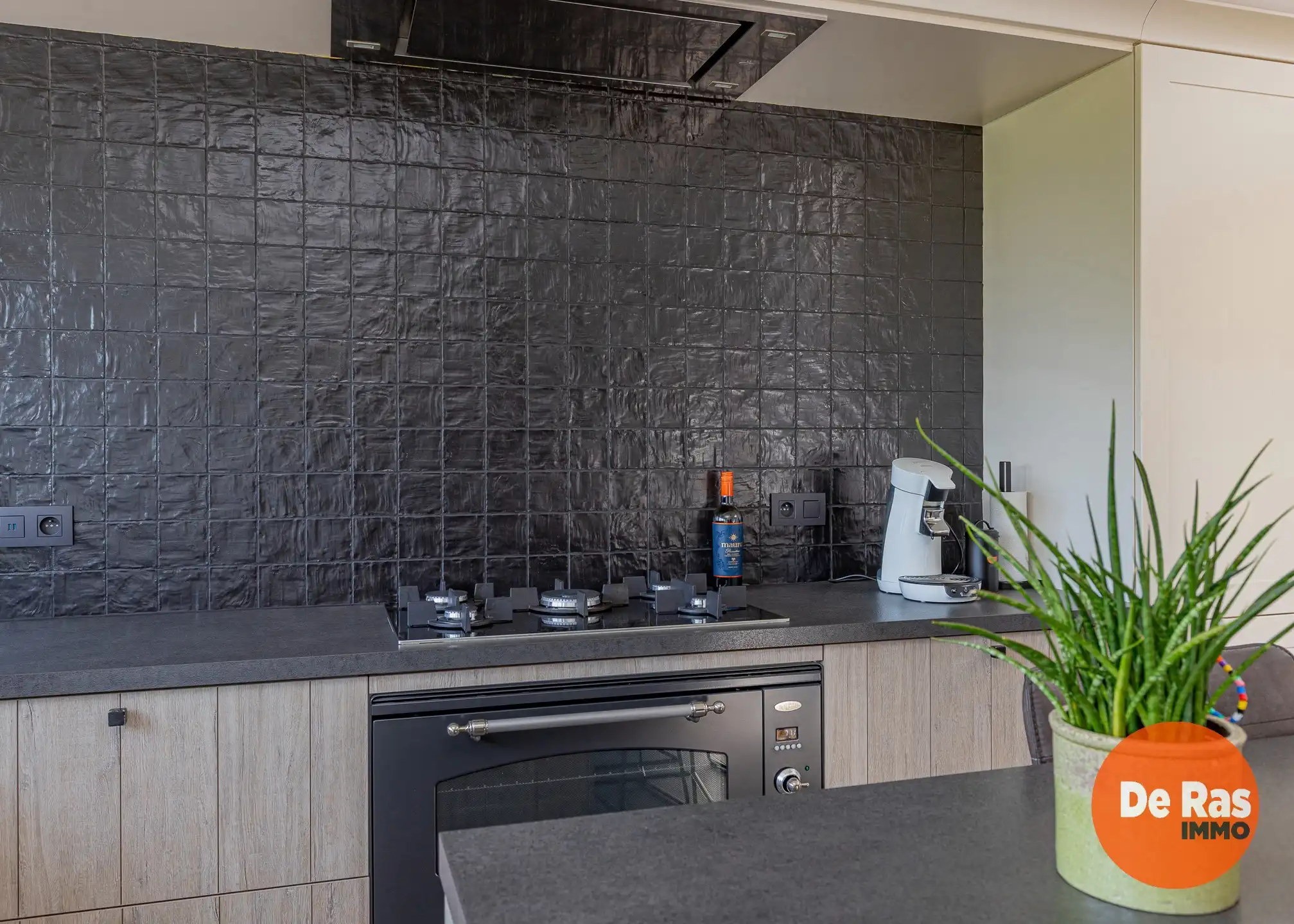 ERPE-MERE - Instapklare woning met 3 slpk en mooie tuin foto 6