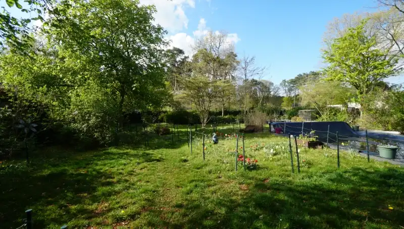 Landhuis van 269m² op 15 are met praktijkruimte/kantoor of kangoeroewoning foto 32