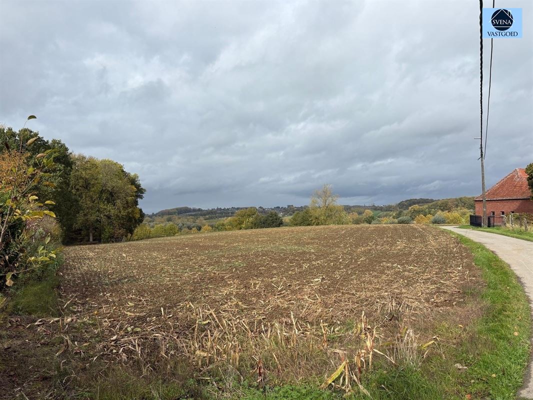 RUIME WONING MET TUIN EN WEILAND foto 12