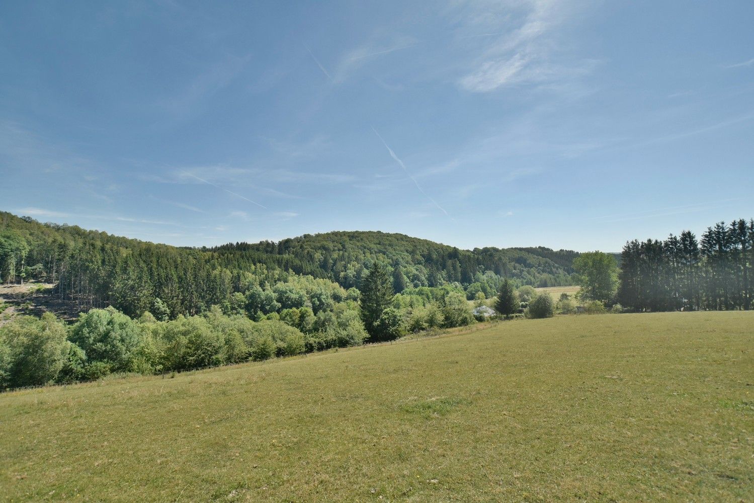 Domein van bijna 6 ha met een charmant landhuis en multifunctioneel vrijstaand bijgebouw op een idyllische, natuurrijke locatie te Amel foto 39