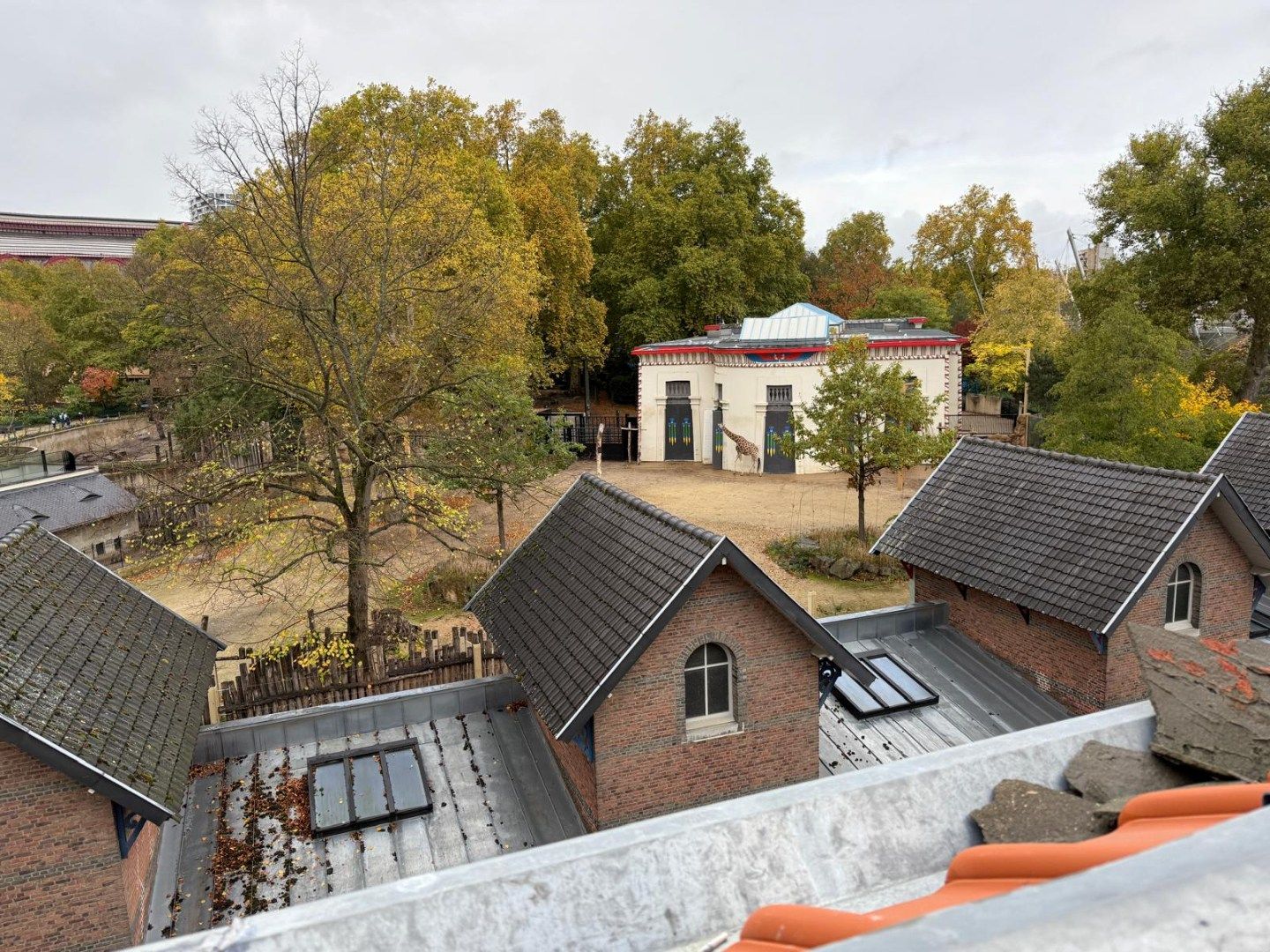 Gezellige duplexstudio met zicht op de Zoo foto 7