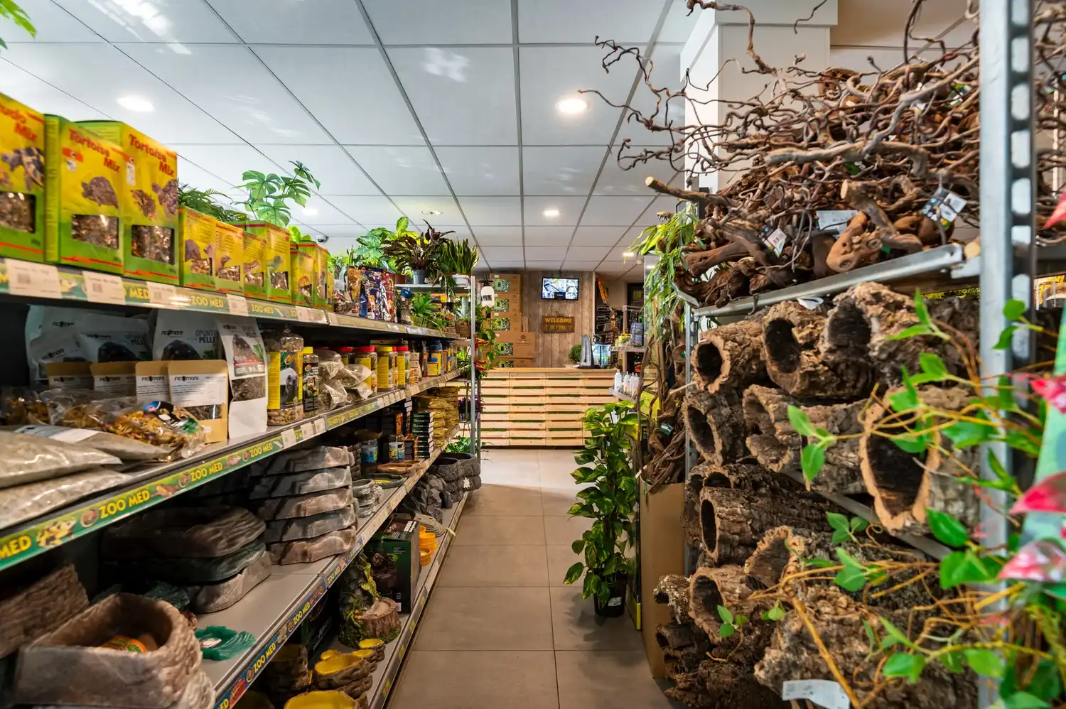 Ruim handelsgelijkvloers (208 m²) met brede etalage en buitenruimte (72 m²) in Kontich foto 8