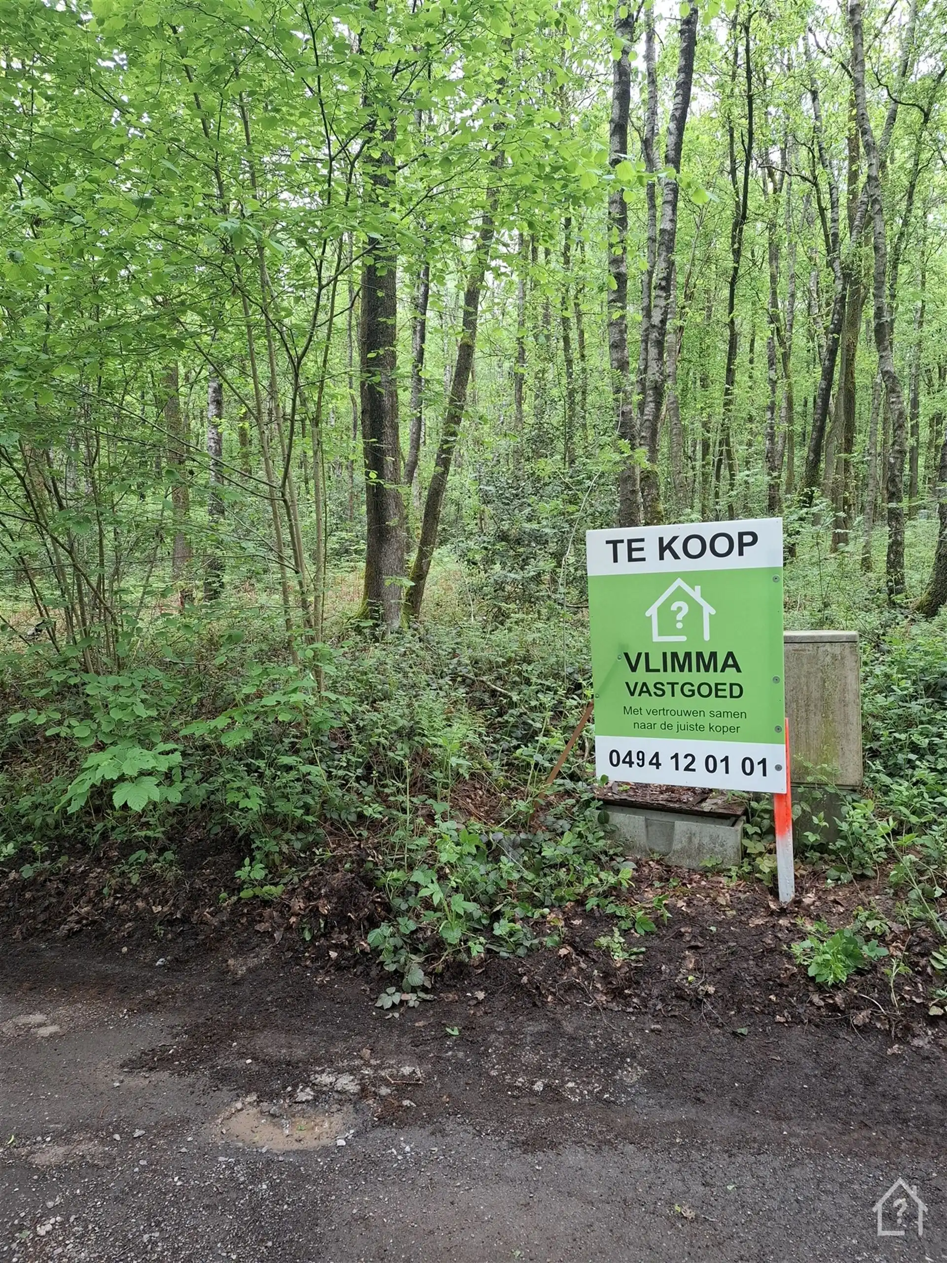 Recreatiegrond midden in het Groene Hart van de Ardennen foto 3