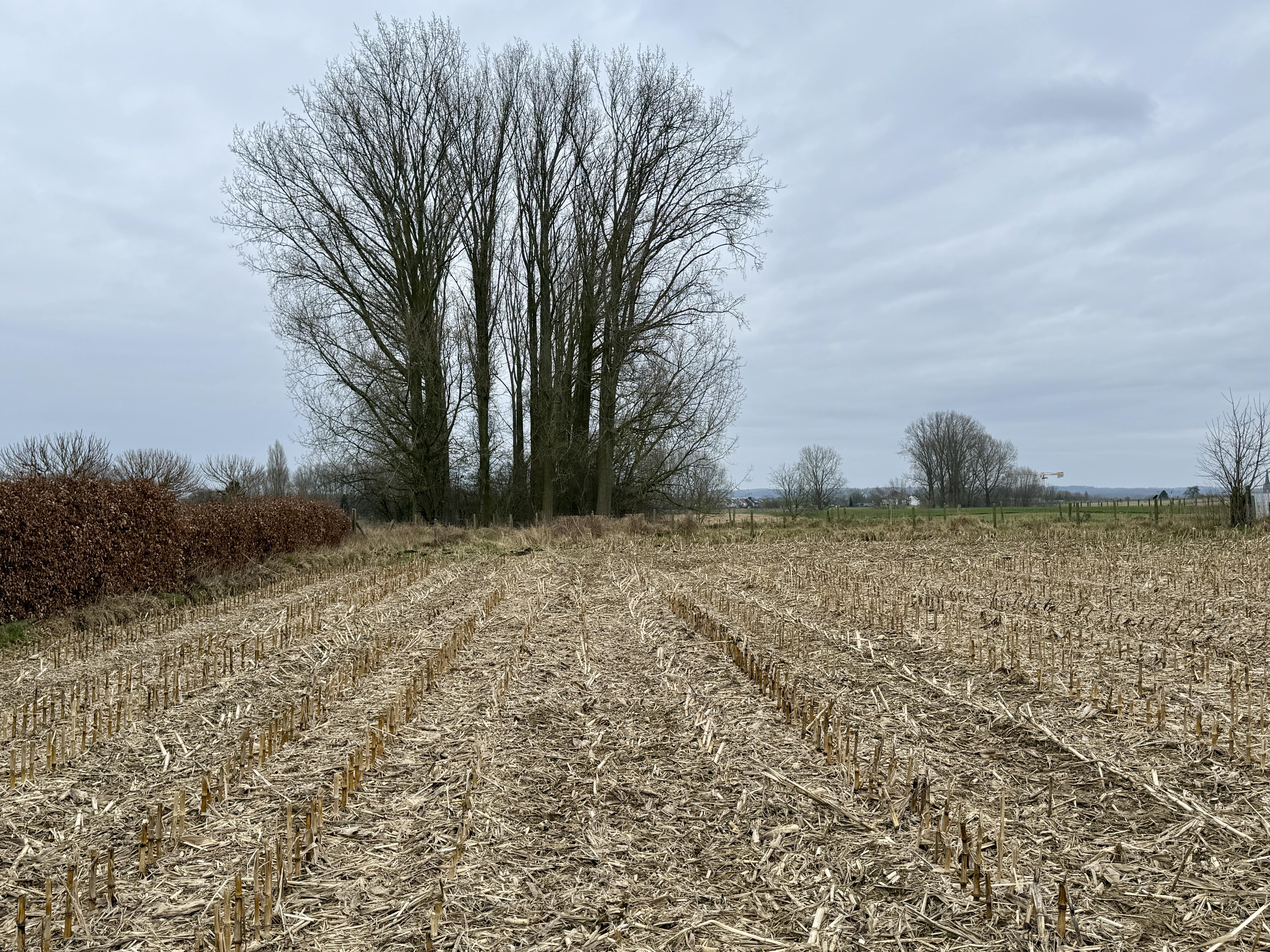 Residentieel gelegen bouwgrond met verzicht foto 3