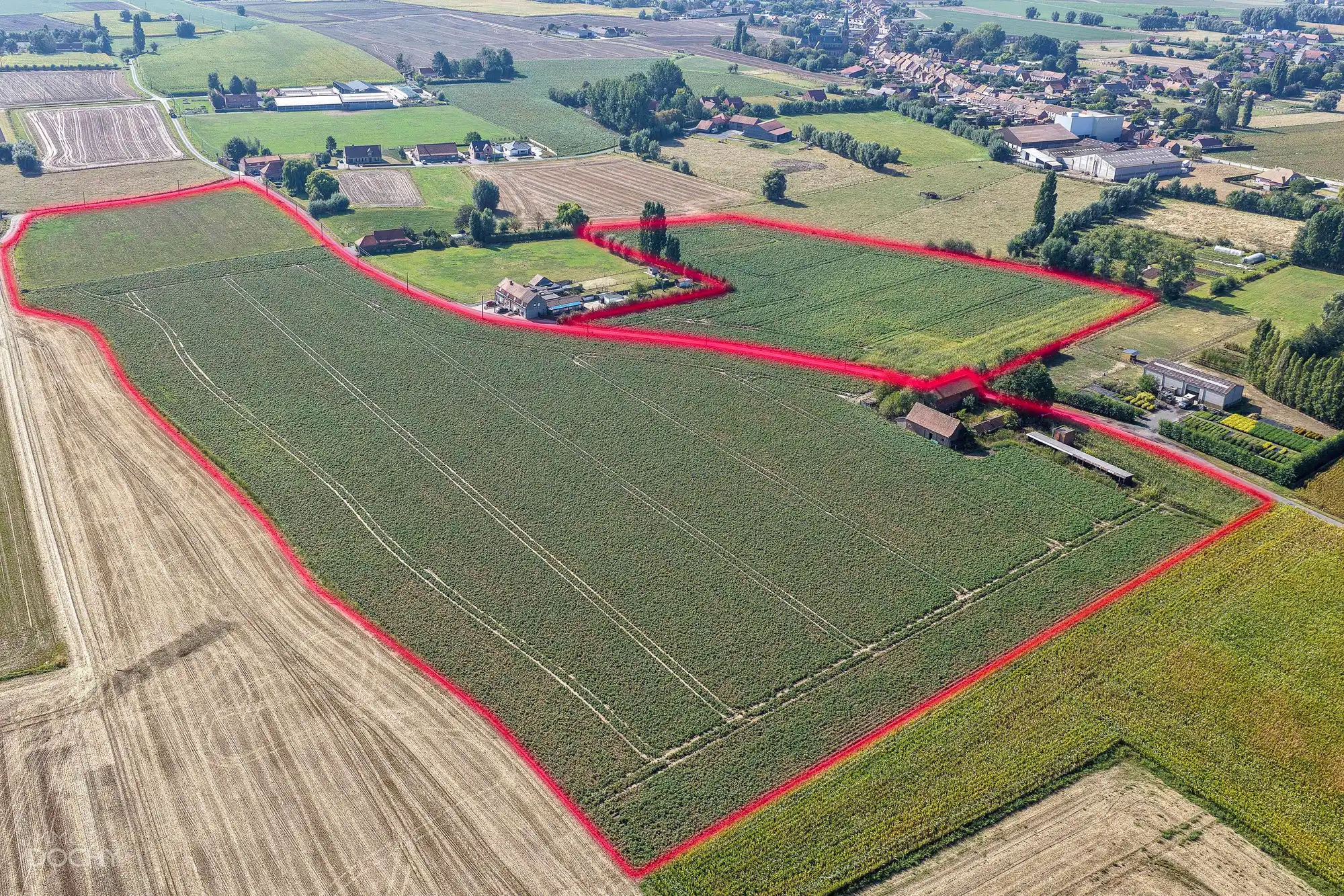 Hoofdfoto van de publicatie: Hoeve op ca 7ha met  vergunning voor nieuwbouw
