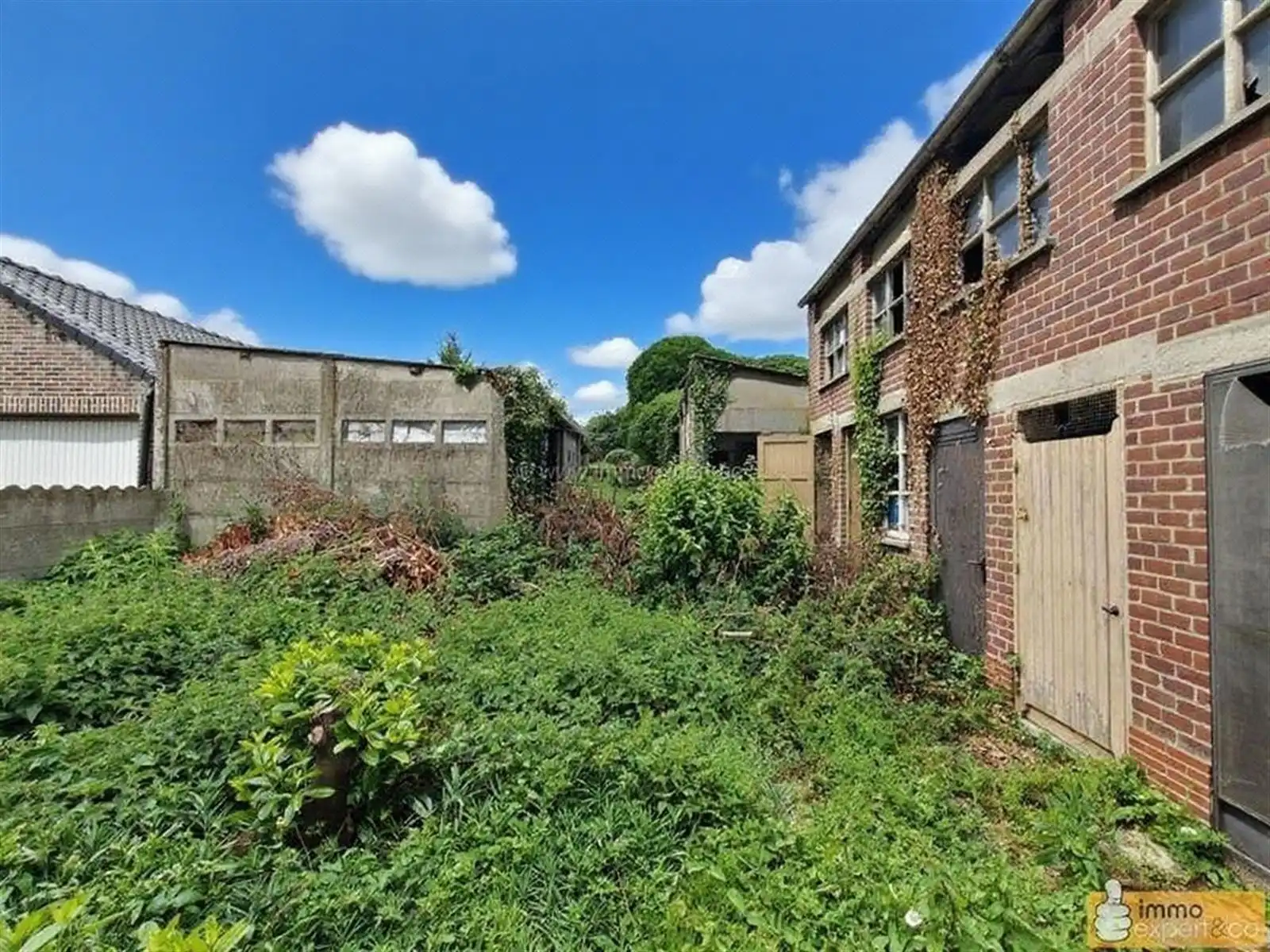 TERNAT: Renovatieproject foto 8