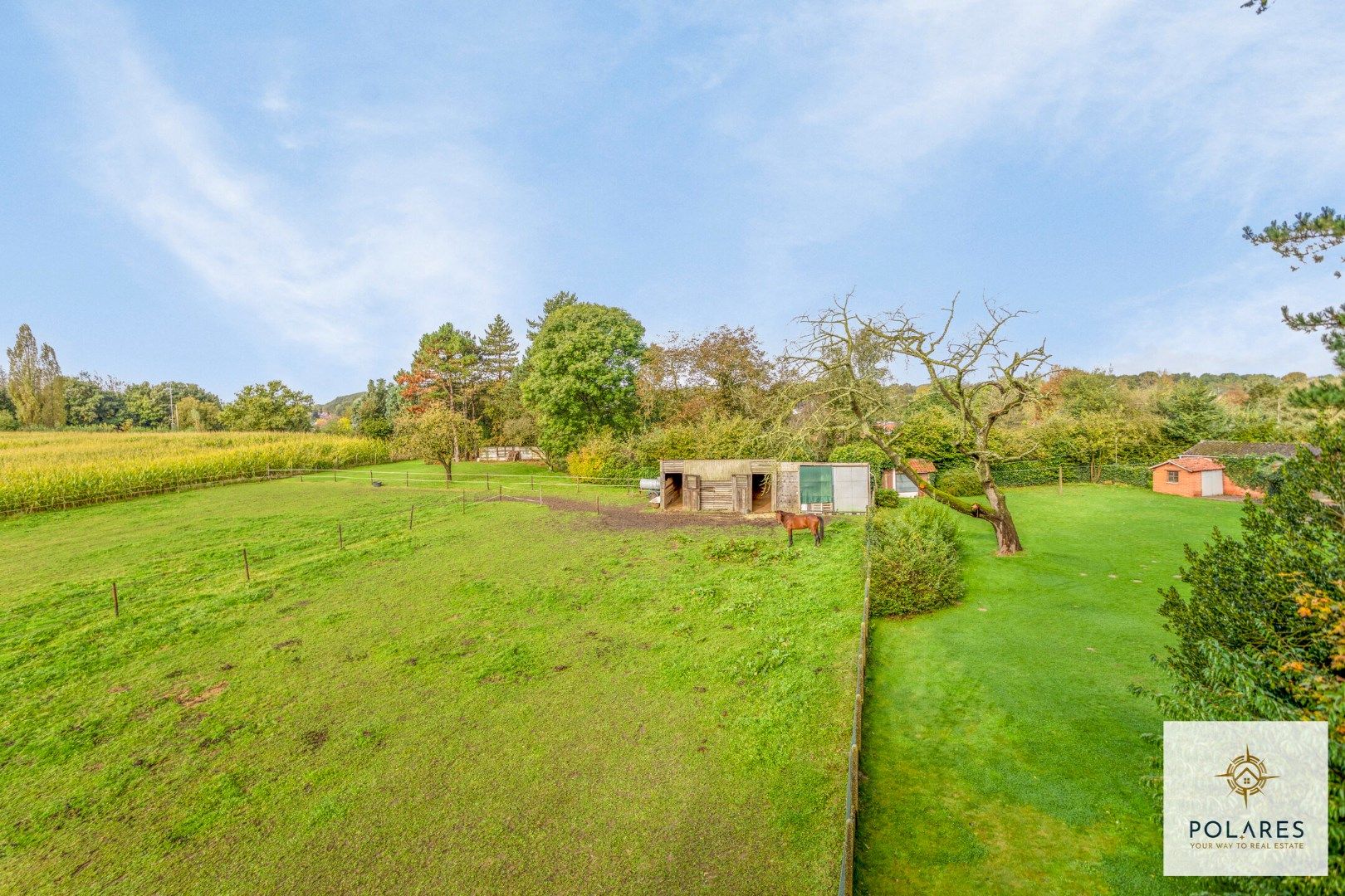 Prachtige te renoveren hoeve met paardenweide foto 2