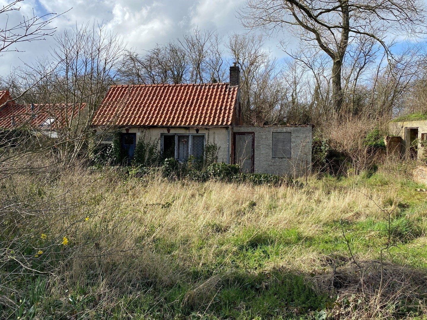 Bouwen aan t' Zwin foto 4