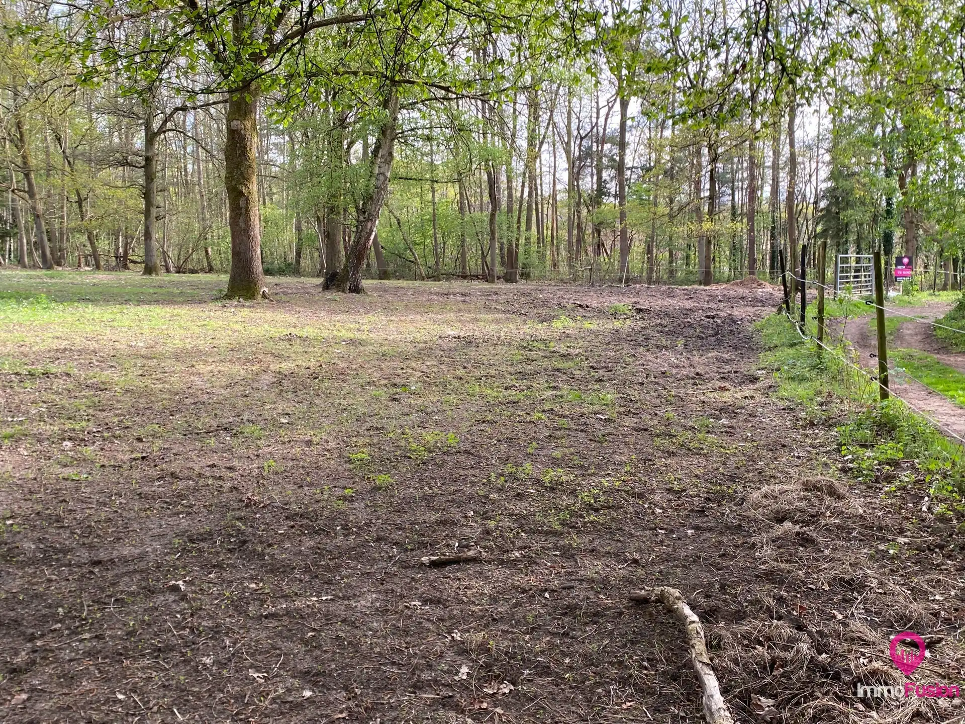 Landelijke weide voor dieren- en natuurliefhebbers! foto 8