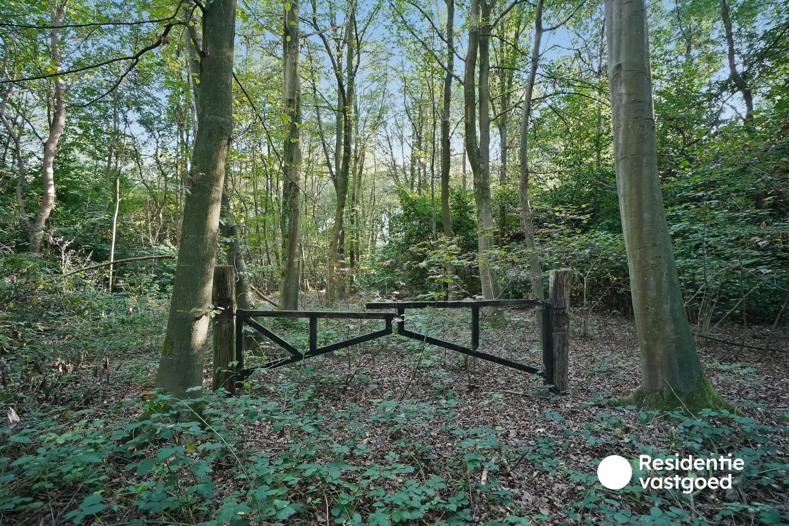 Bosgrond van 4.193 m² op rustige ligging in Sijsele foto 2