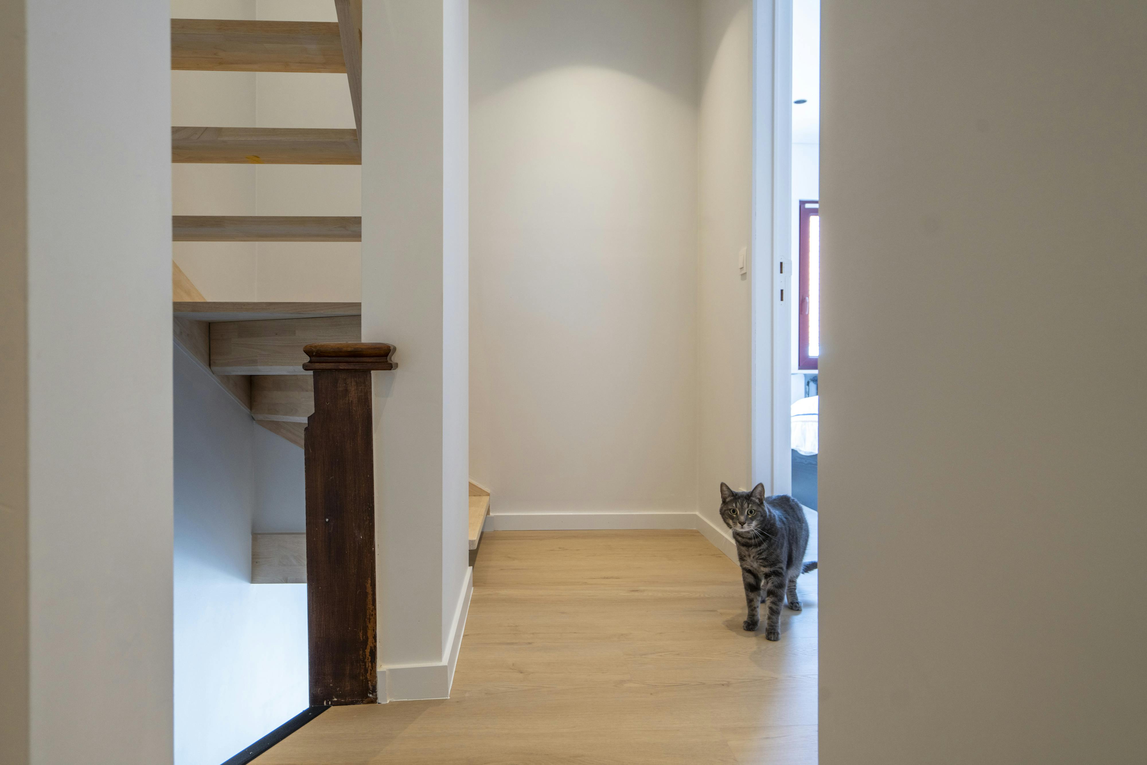 Leuke instapklare bel-etage woning te koop in Wevelgem! foto 14