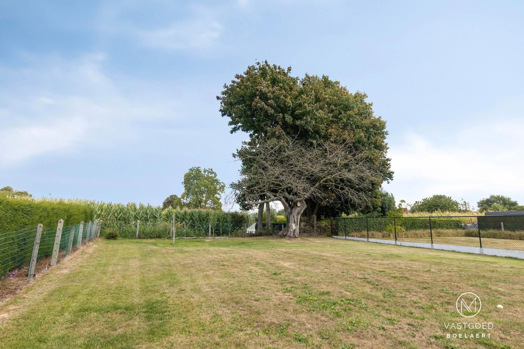 Rustig gelegen gezinswoning met tuin te Ninove foto 2