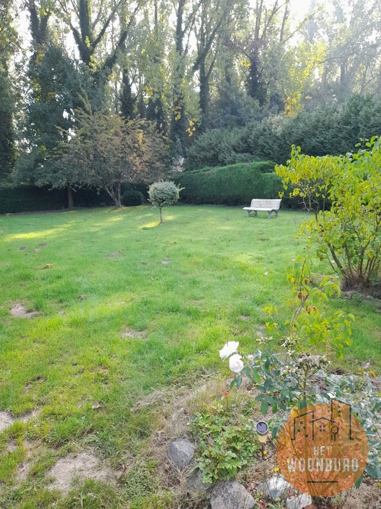 Bungalow met 1 slpk en ruime tuin (10 are) foto 10