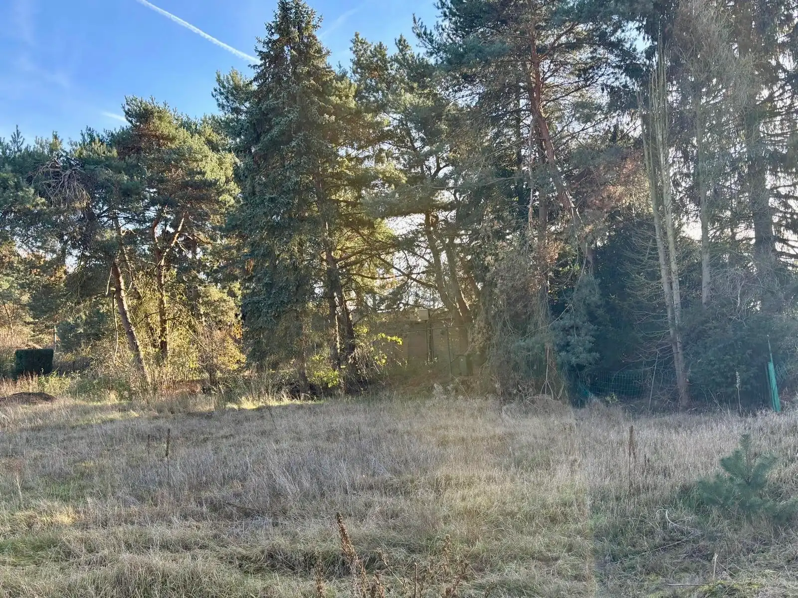 Te renoveren woning op 4769 m², grenzend aan natuurgebied De Keiheuvel foto 14