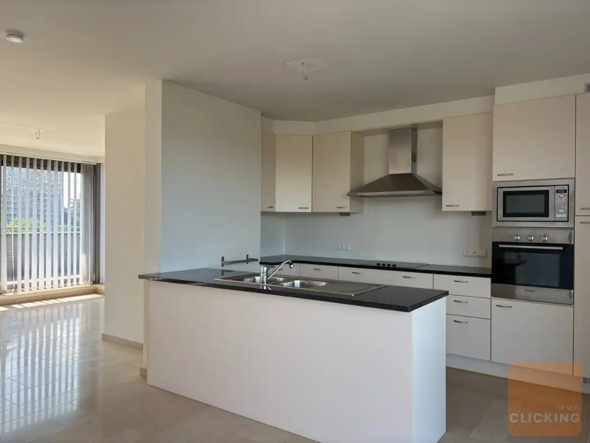 Uitzonderlijke penthouse met 3 slaapkamers en fantastisch terras (200m2) foto 13