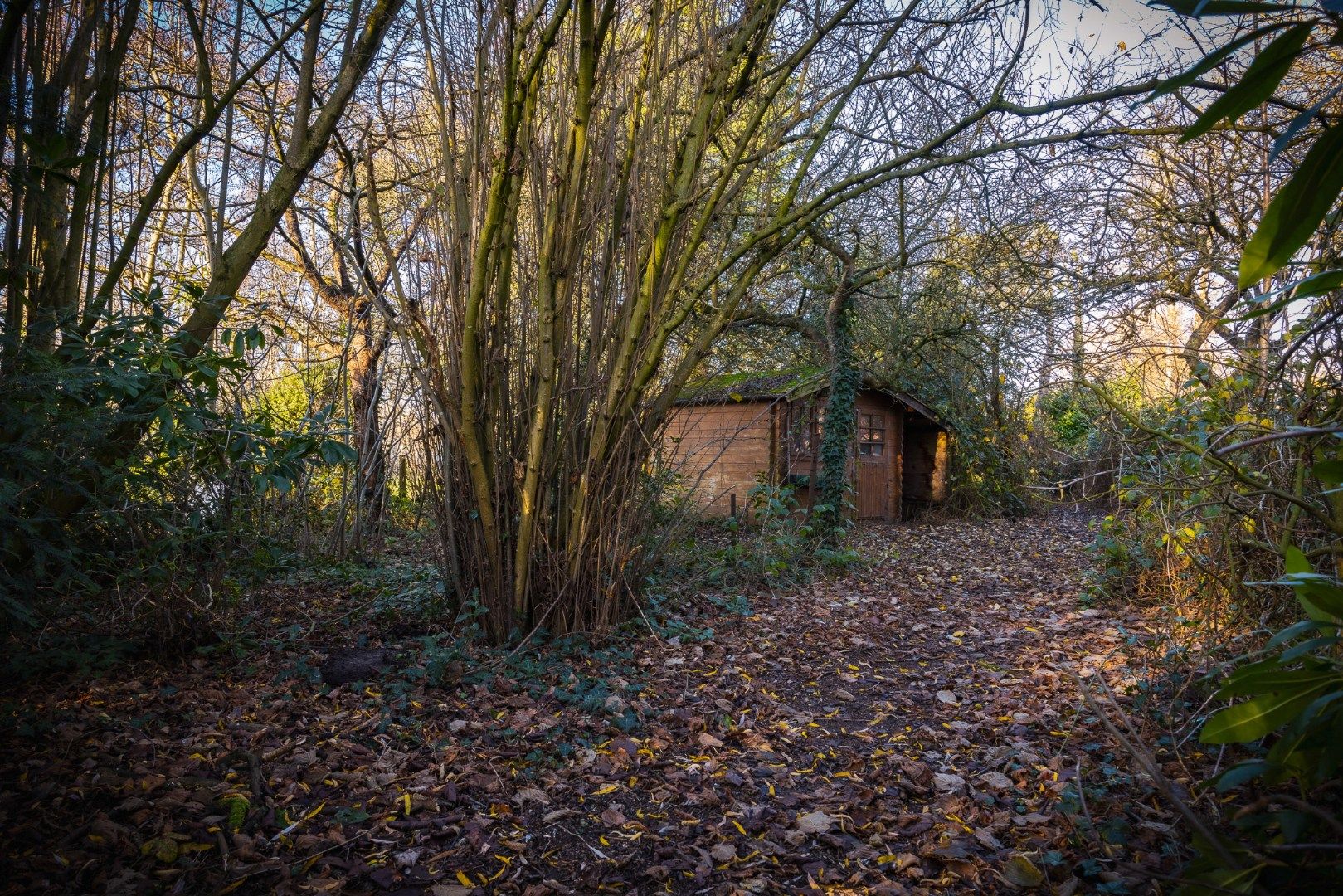 Grondig te renoveren / herop te bouwen woning te Maldegem foto 8