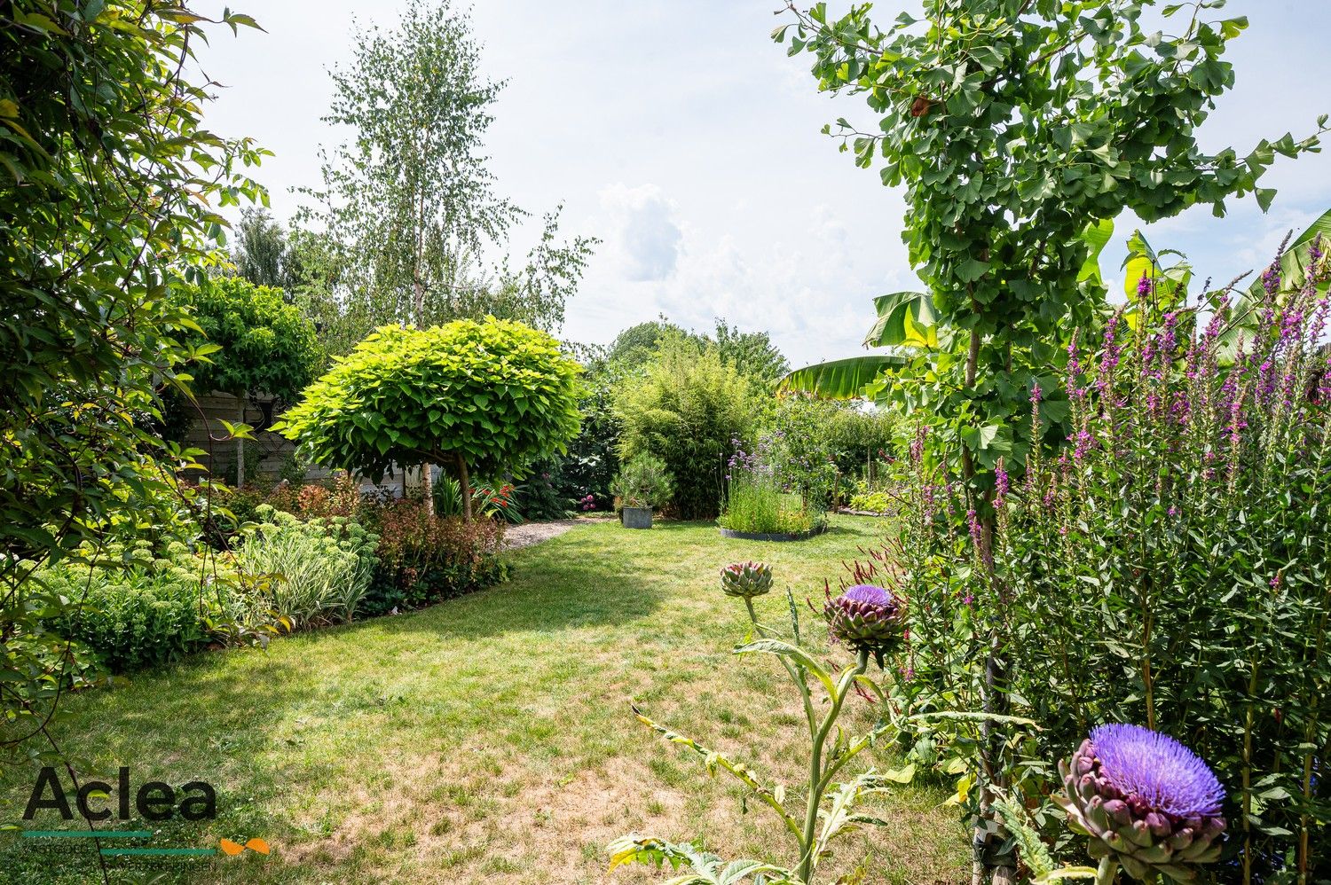 Halfopen bebouwing met weelderige tuin foto 39