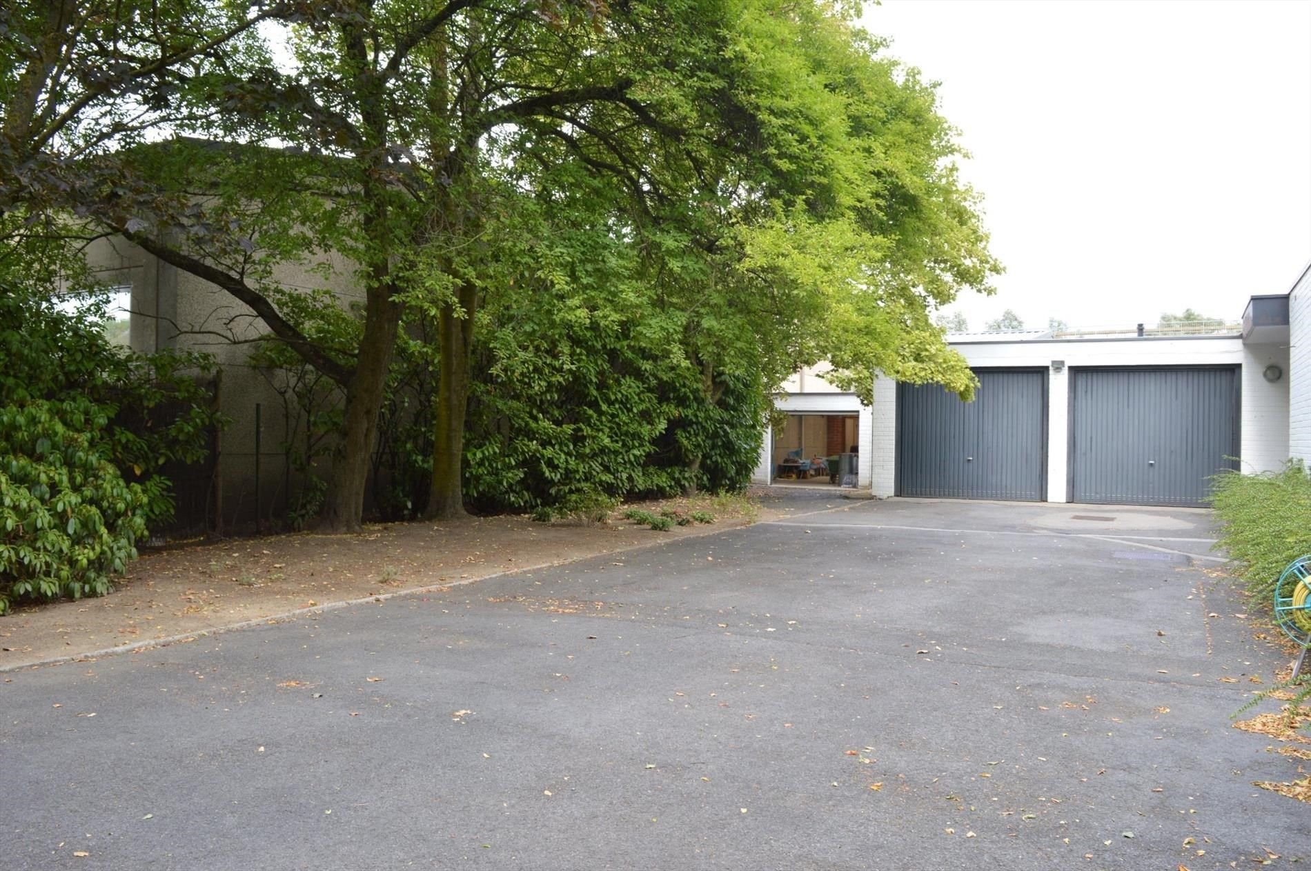 Ruime gelijkvloerse villa in een oase van groen en goeie bereikbaarheid foto 18