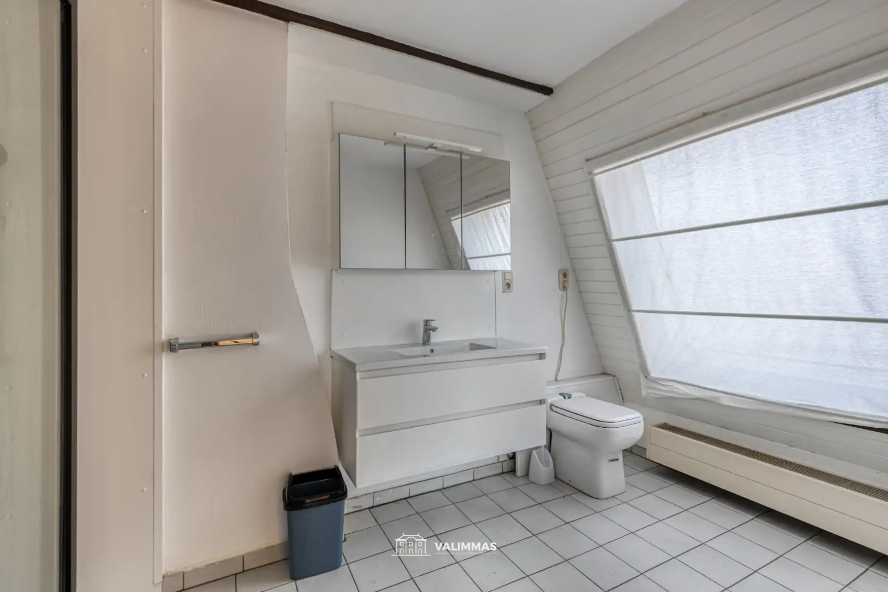 Centrum Asse: ruime handelswoning met terras en grote garage foto 32