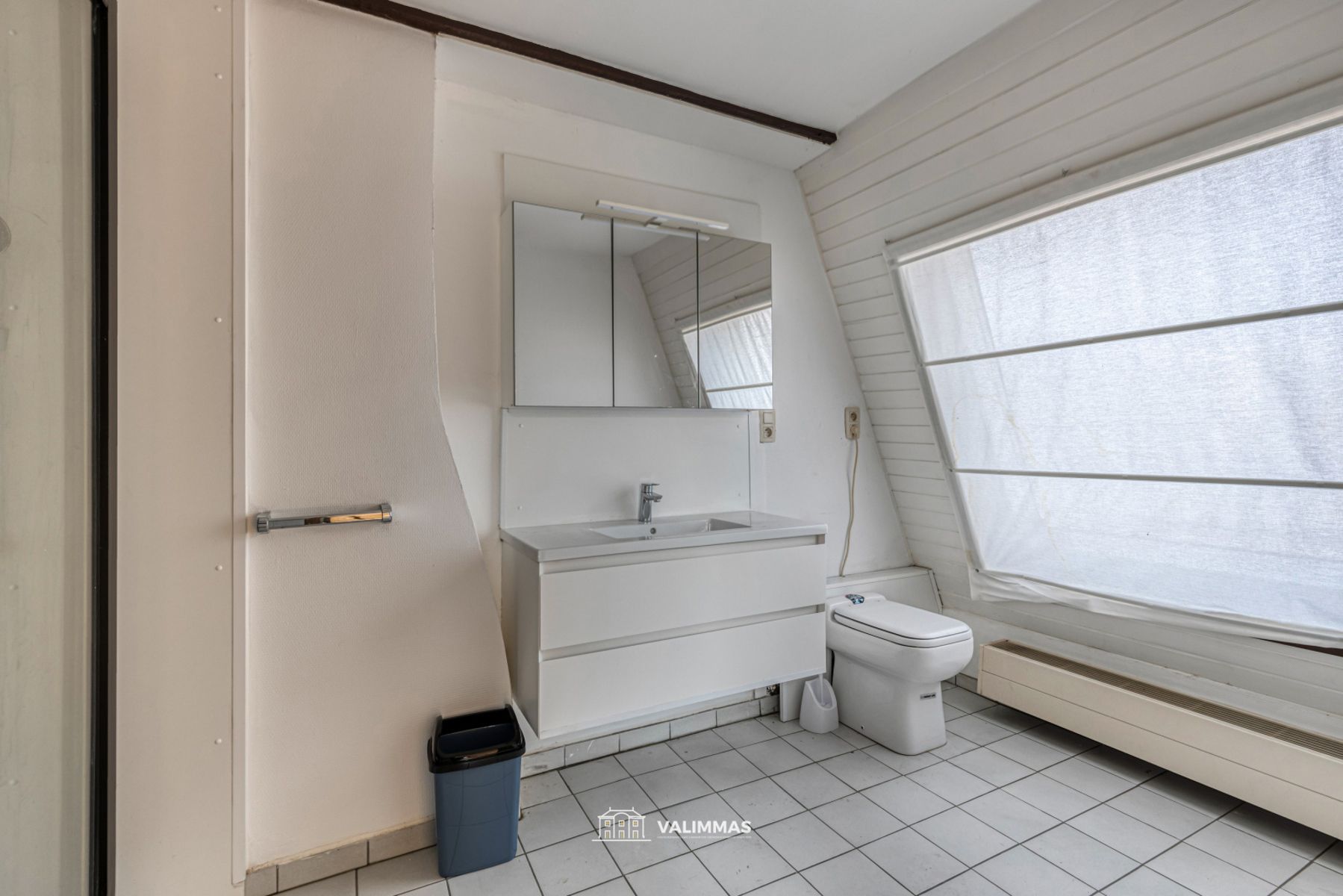 Centrum Asse: ruime handelswoning met terras en grote garage foto 33