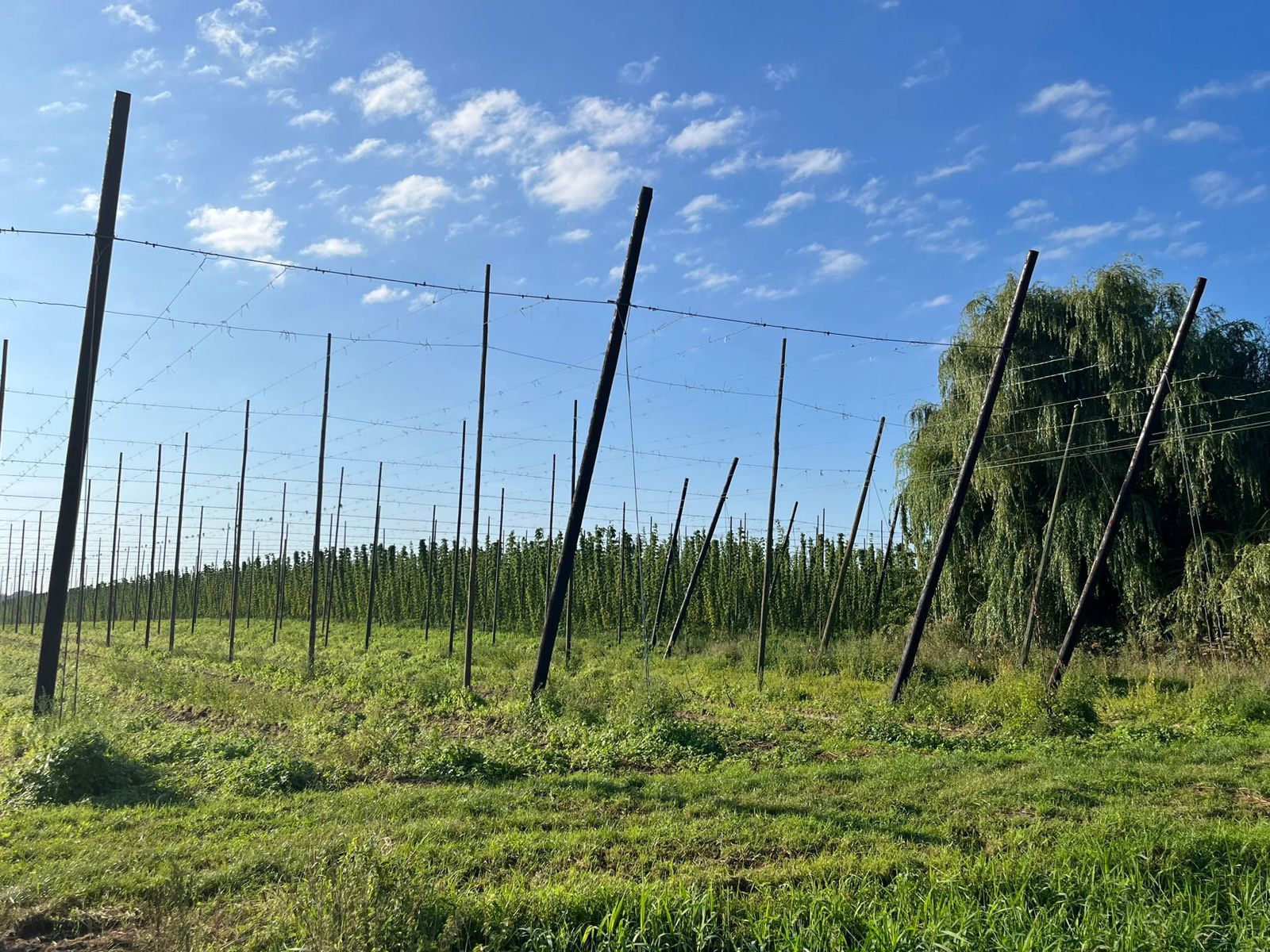 Moderne, halfopen woning foto 16