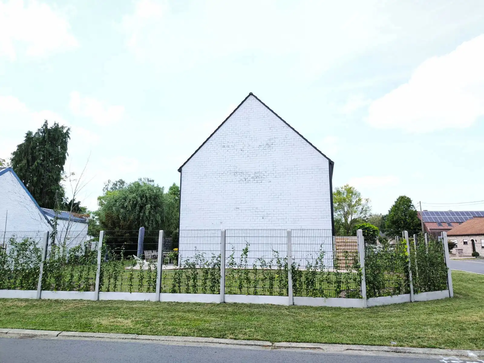 Mooi perceel voor HOB op ca. 253 m² inclusief dubbele muur met de buren!  foto 5