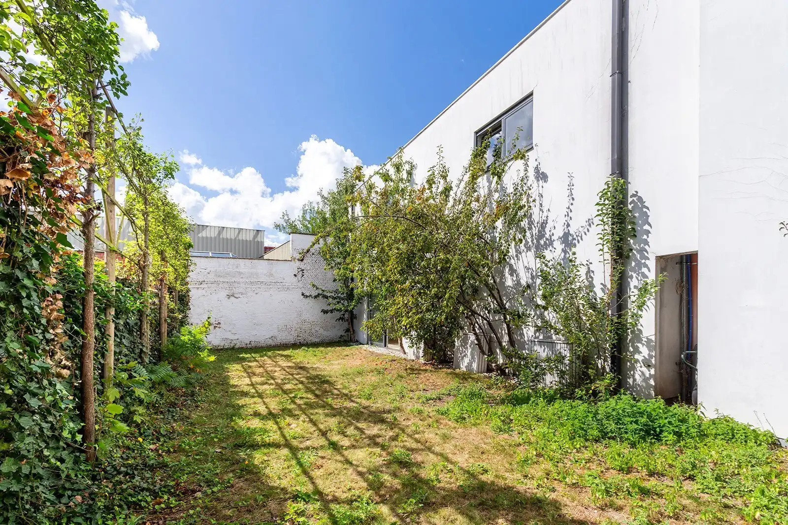 A hidden gem in Oud Berchem foto 18