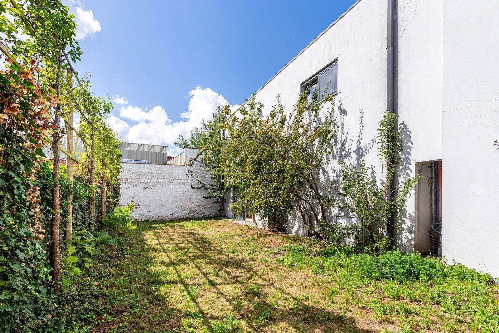 A hidden gem in Oud Berchem foto 18