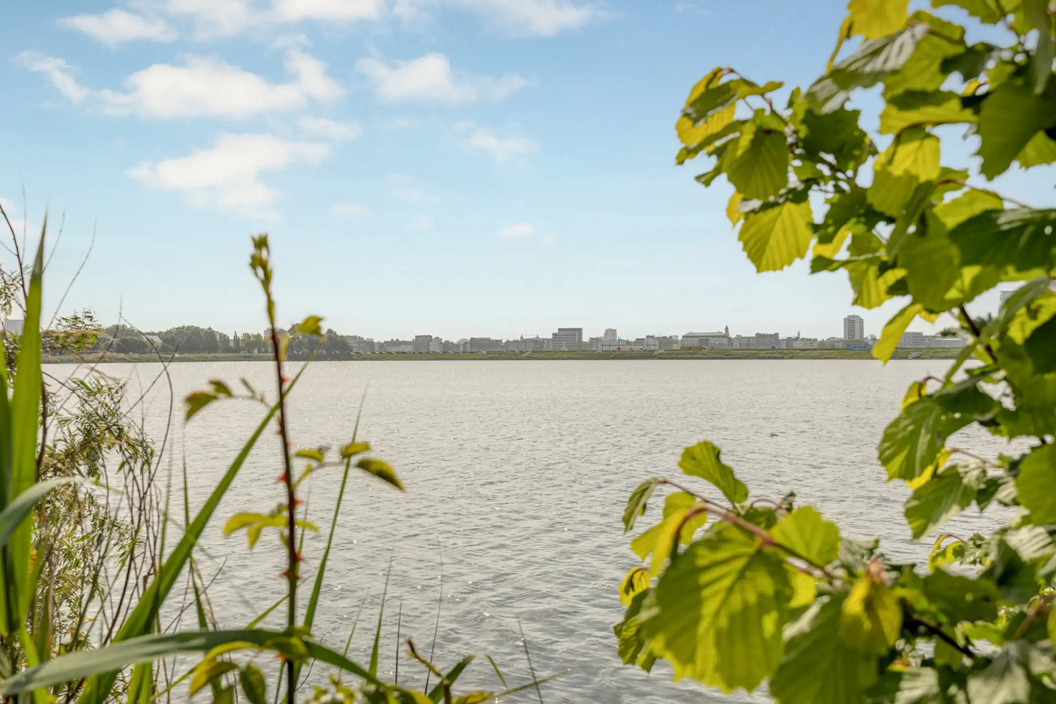 ANTWERPEN LINKEROEVER - Appartement met zicht op Galgenweel! foto 10