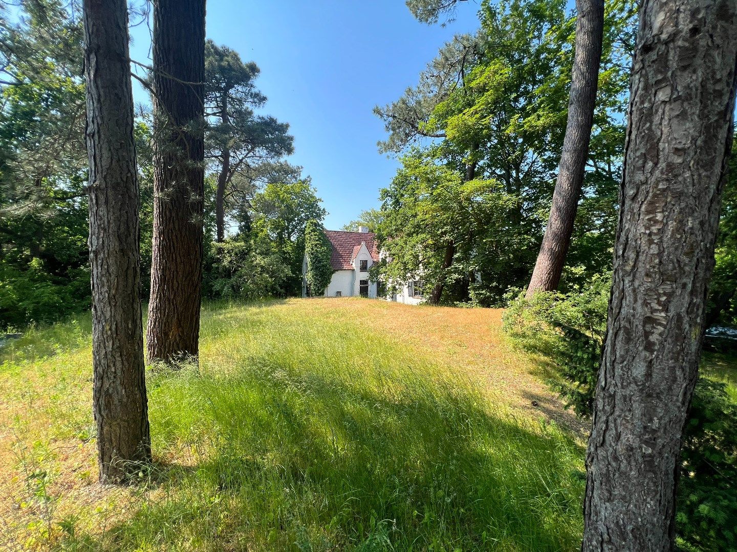 Uniek perceel met 2 villa's van 2.421m² in hartje Zoute nabij de Royal Zoute Golf Club. foto {{pictureIndex}}
