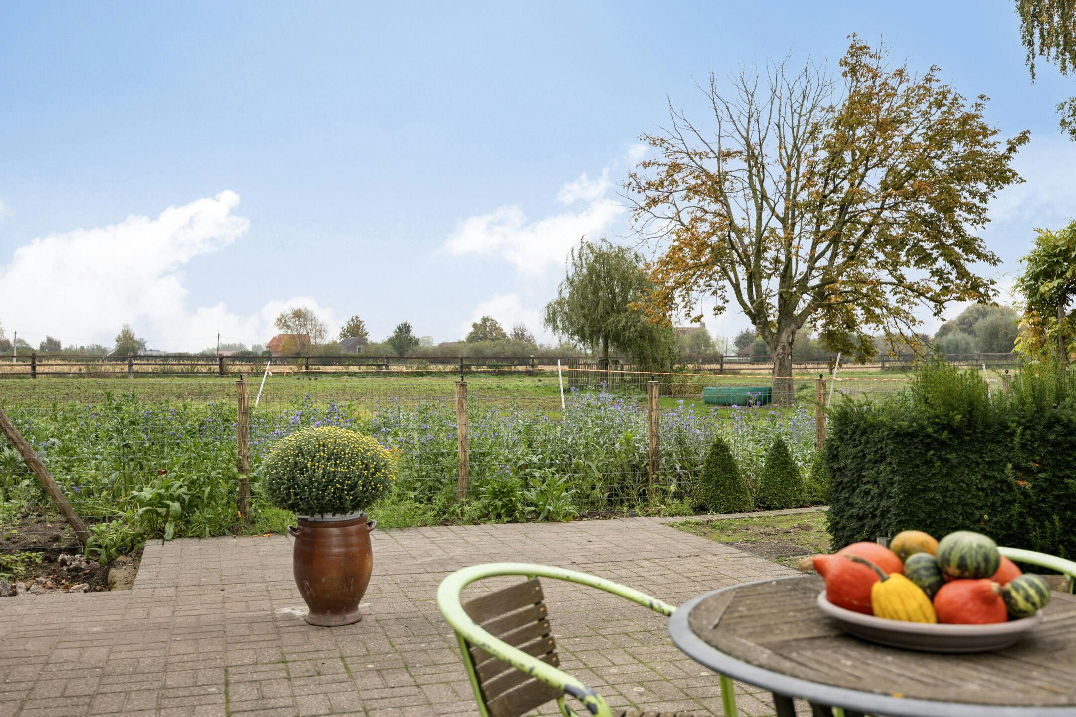 Te renoveren hoeve en bijgebouwen met charme en potentieel foto 19