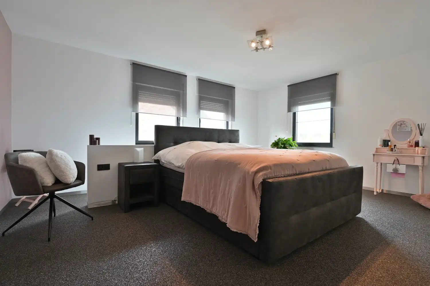 Instapklare topwoning met unieke mogelijkheden op een perceel van 11a75ca in het landelijke Neeroeteren. foto 15