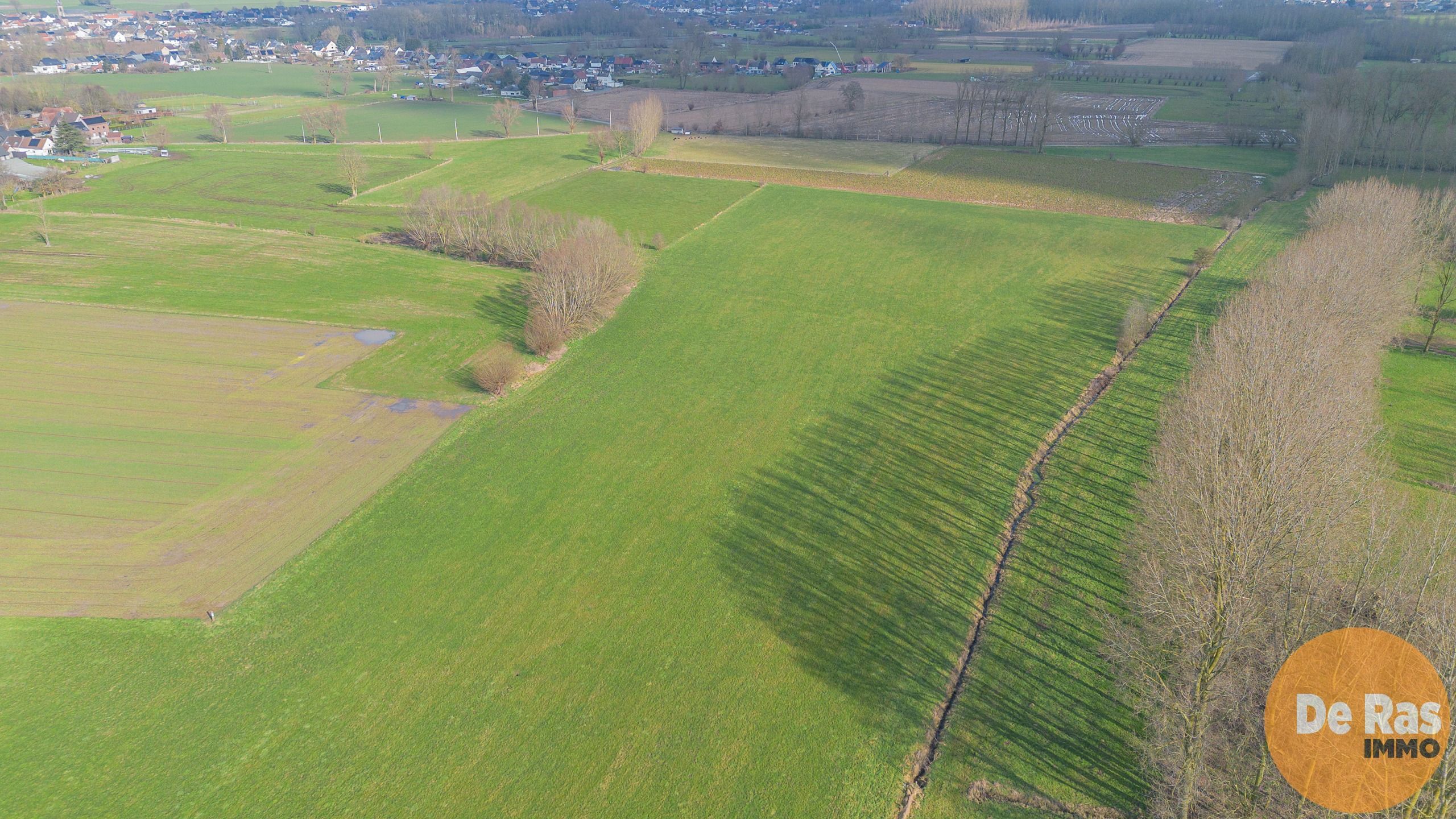 HILLEGEM – Landbouwgronden te koop foto 5