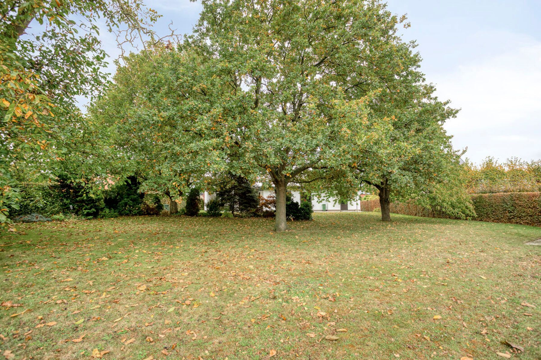 Huis te koop foto 23