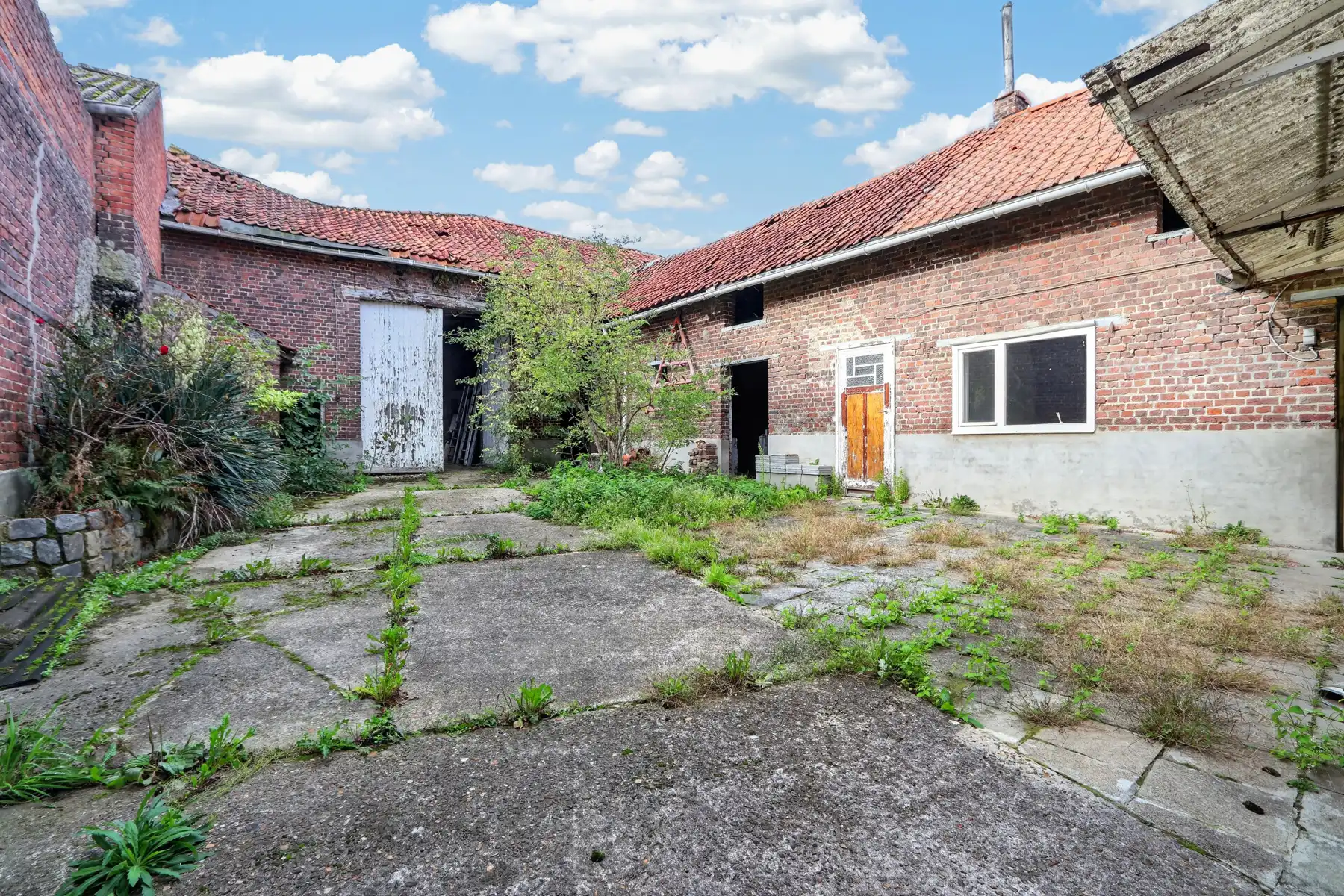 TE RENOVEREN + SCHUUR + STALLEN + GROND + VEEL MOGELIJKHEDEN foto 18