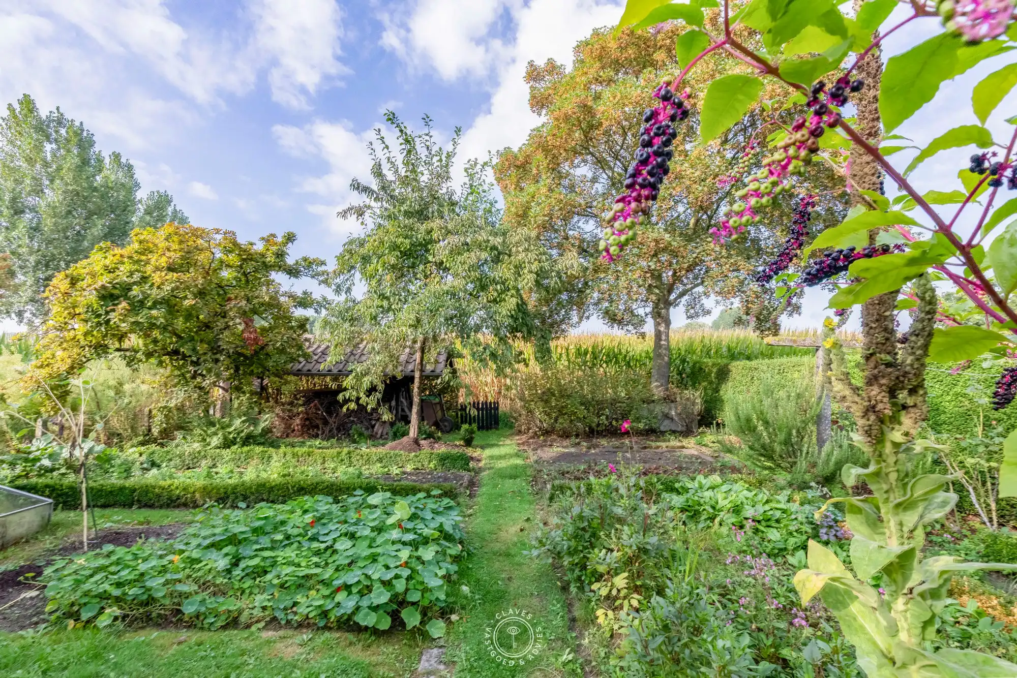 Landelijk wonen met charme foto 8