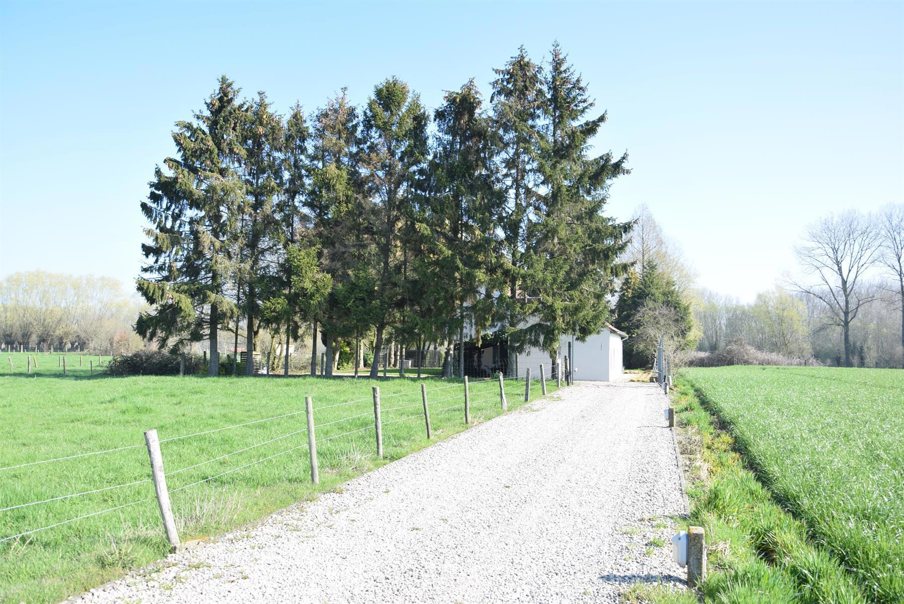 Te huur: zeer rustig gelegen villa te Denderwindeke foto 4