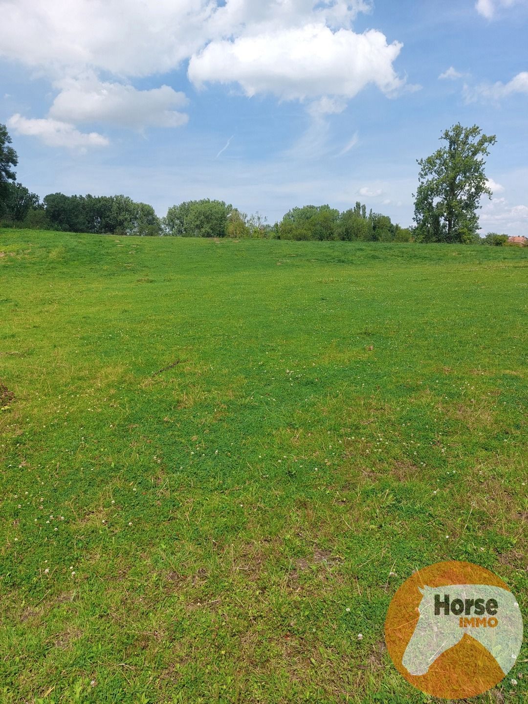 TONGEREN - Weide op +/- 1,5 ha foto 2