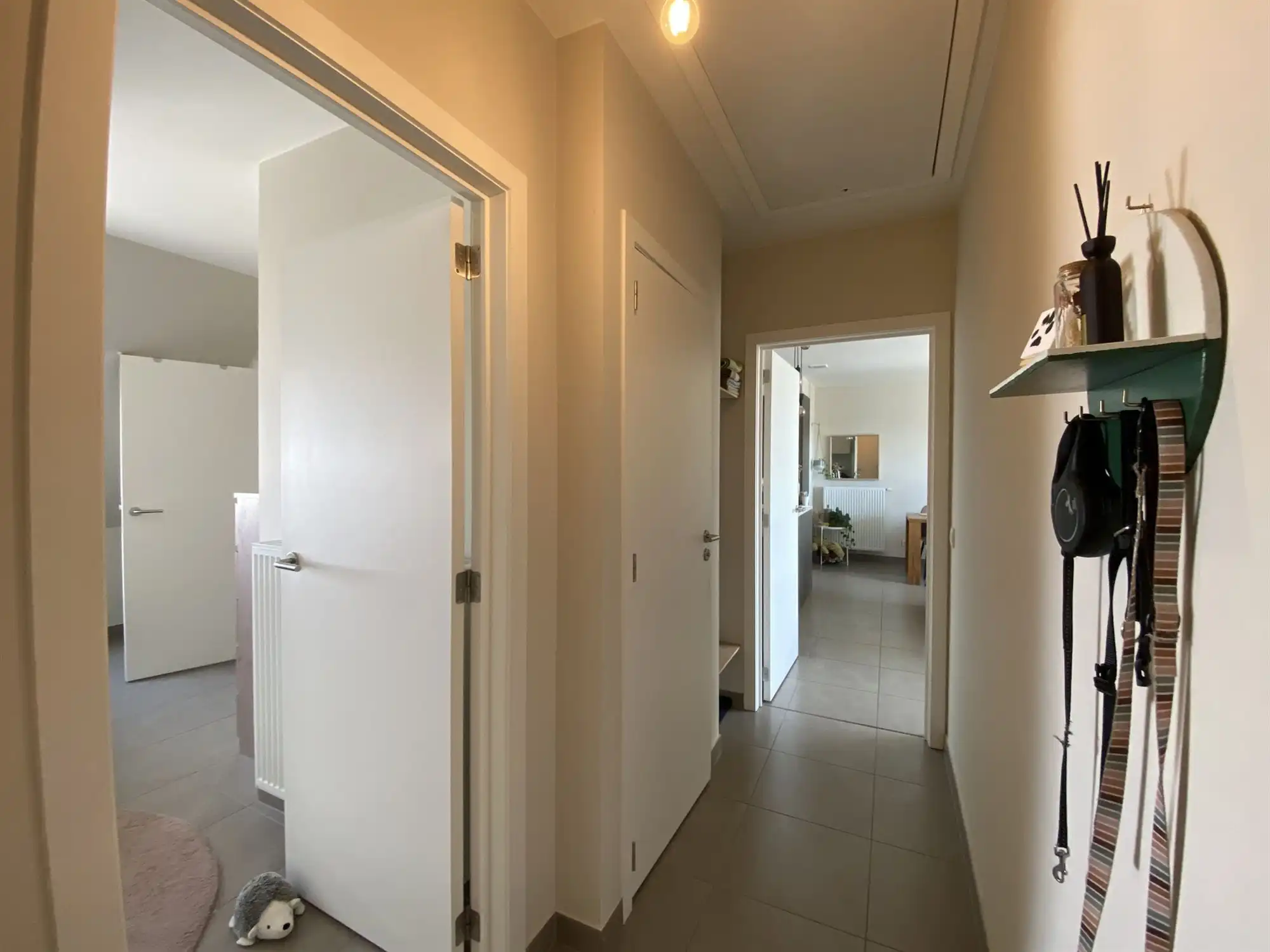 Prachtig energiezuinig dakappartement met 2 slaapkamers, ruim zonovergoten terras en garage in hartje Ertvelde foto 12