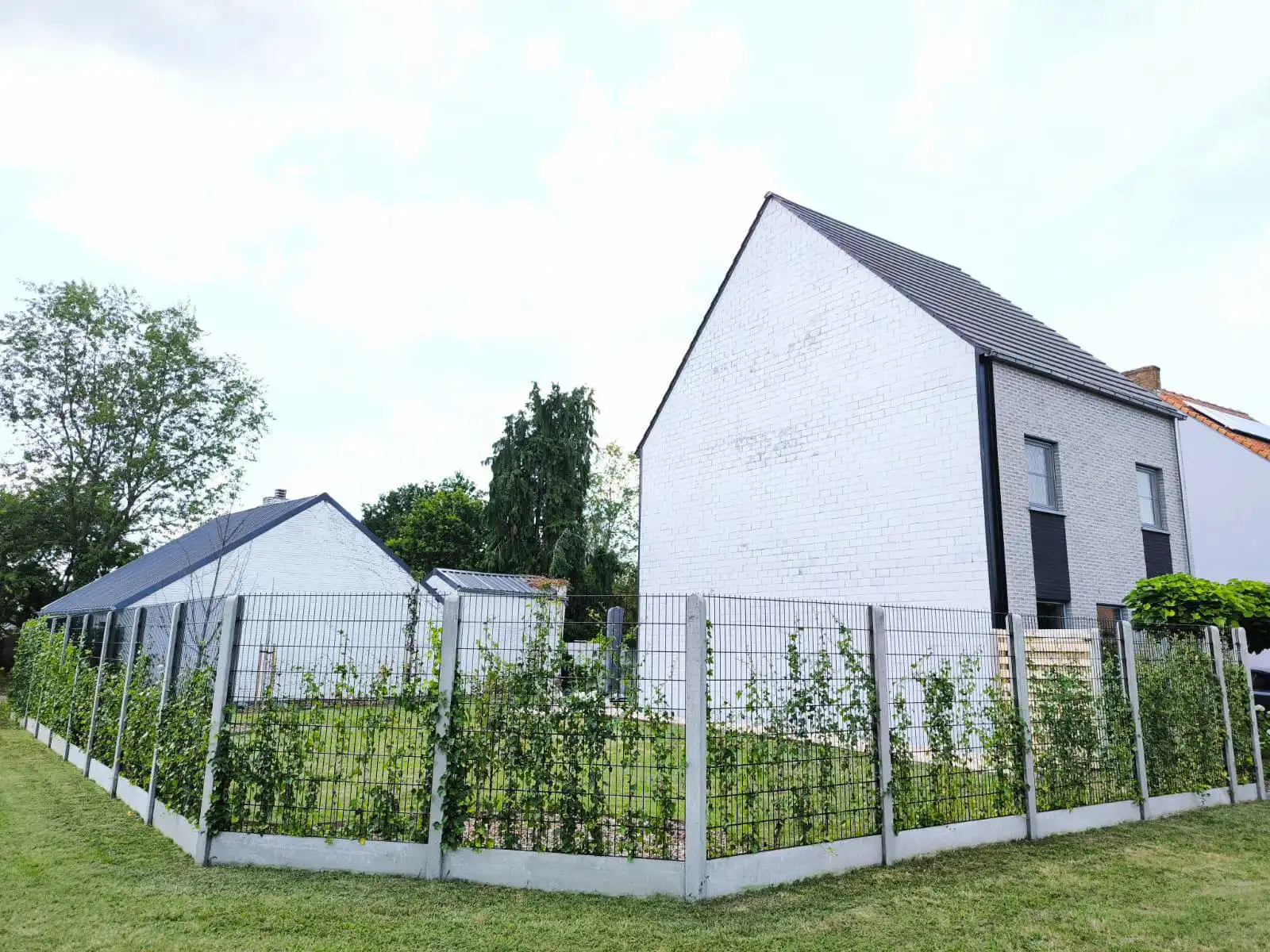 Mooi perceel voor HOB op ca. 253 m² inclusief dubbele muur met de buren!  foto 9