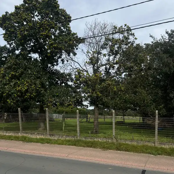 Zeer goed gelegen bouwgrond voor open bebouwing 10are 23ca foto 2