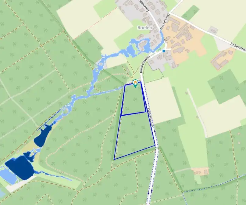 Uniek natuur- en bosperceel in de Roeler-Heide te Zutendaal foto 8