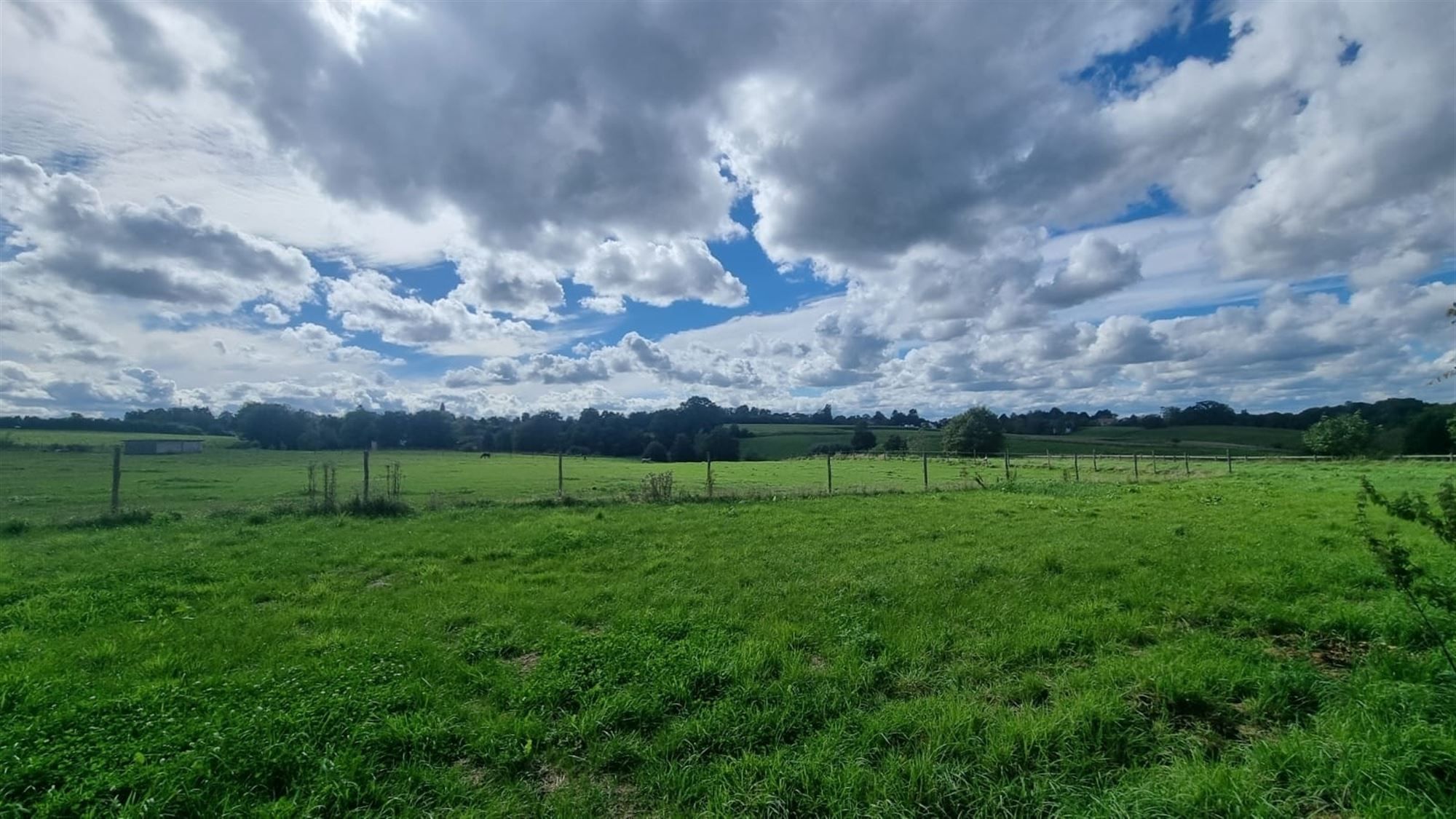 Aangenaam huis met 3 gevels aan de rand van de velden foto 4