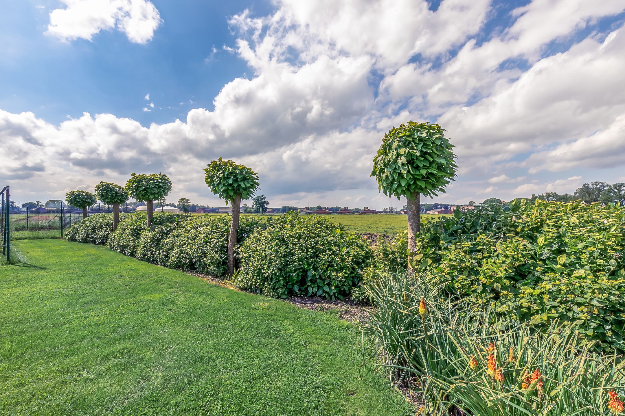 Authentieke herenhoeve op ruim perceel van 5.856 m² foto 30