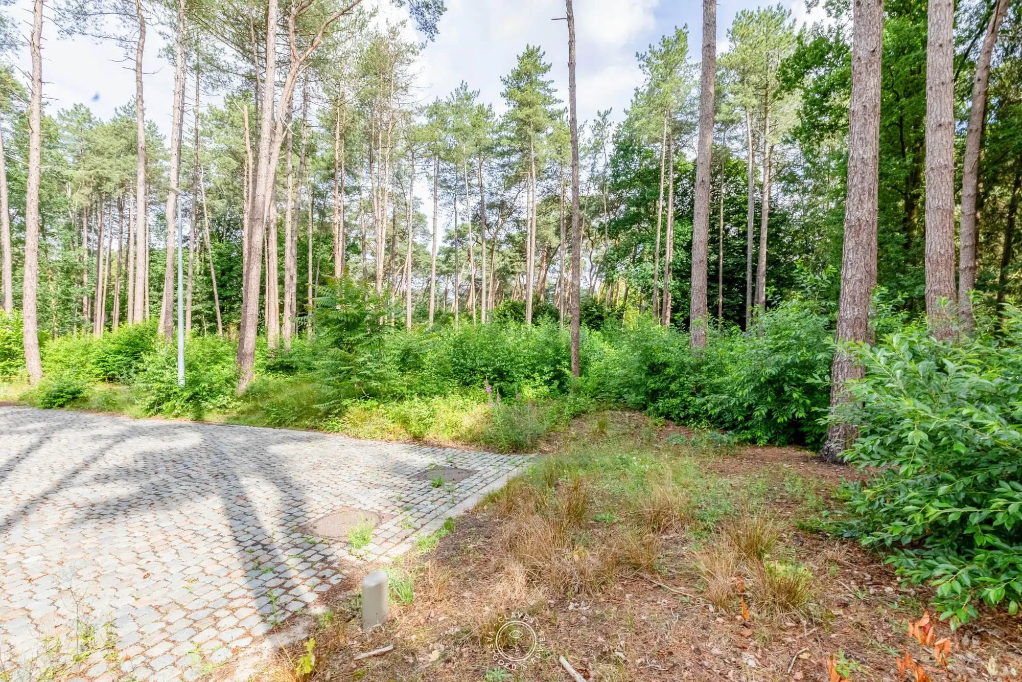 Exclusieve bouwgrond op de Heide in Waasmunster foto 5