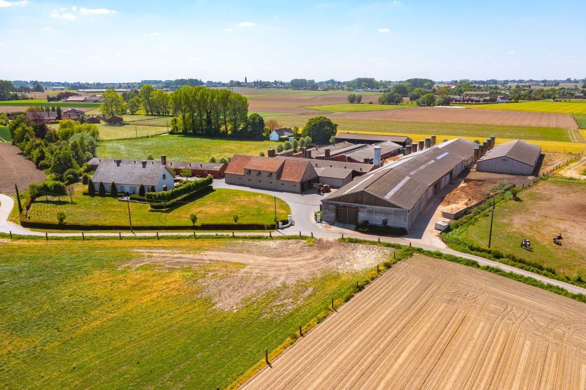 Rundvee- en varkensbedrijf te koop te Kanegem-Tielt foto 7