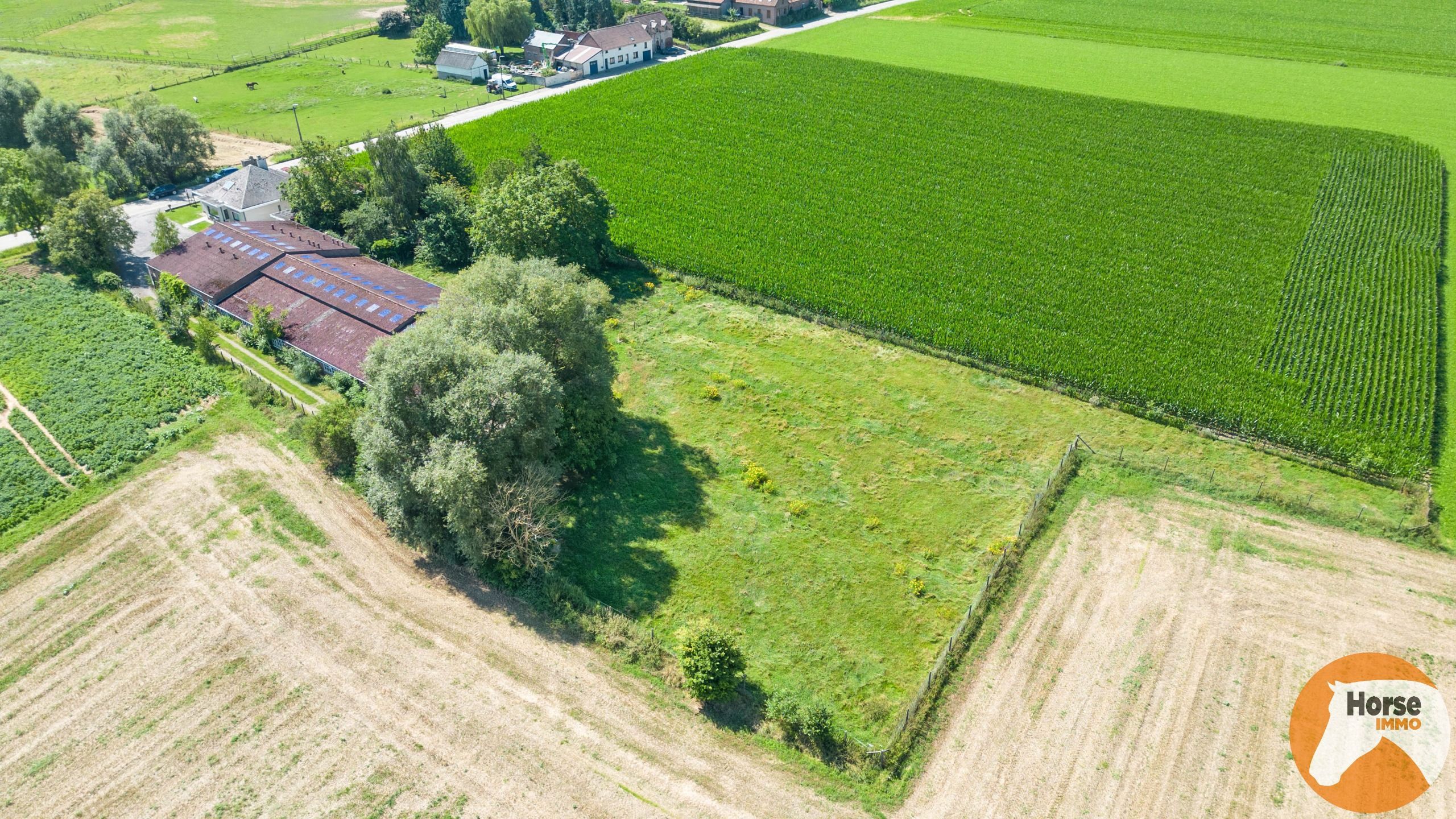 HERNE - Prachtig gelegen woning met grote loods op +-66a foto 5