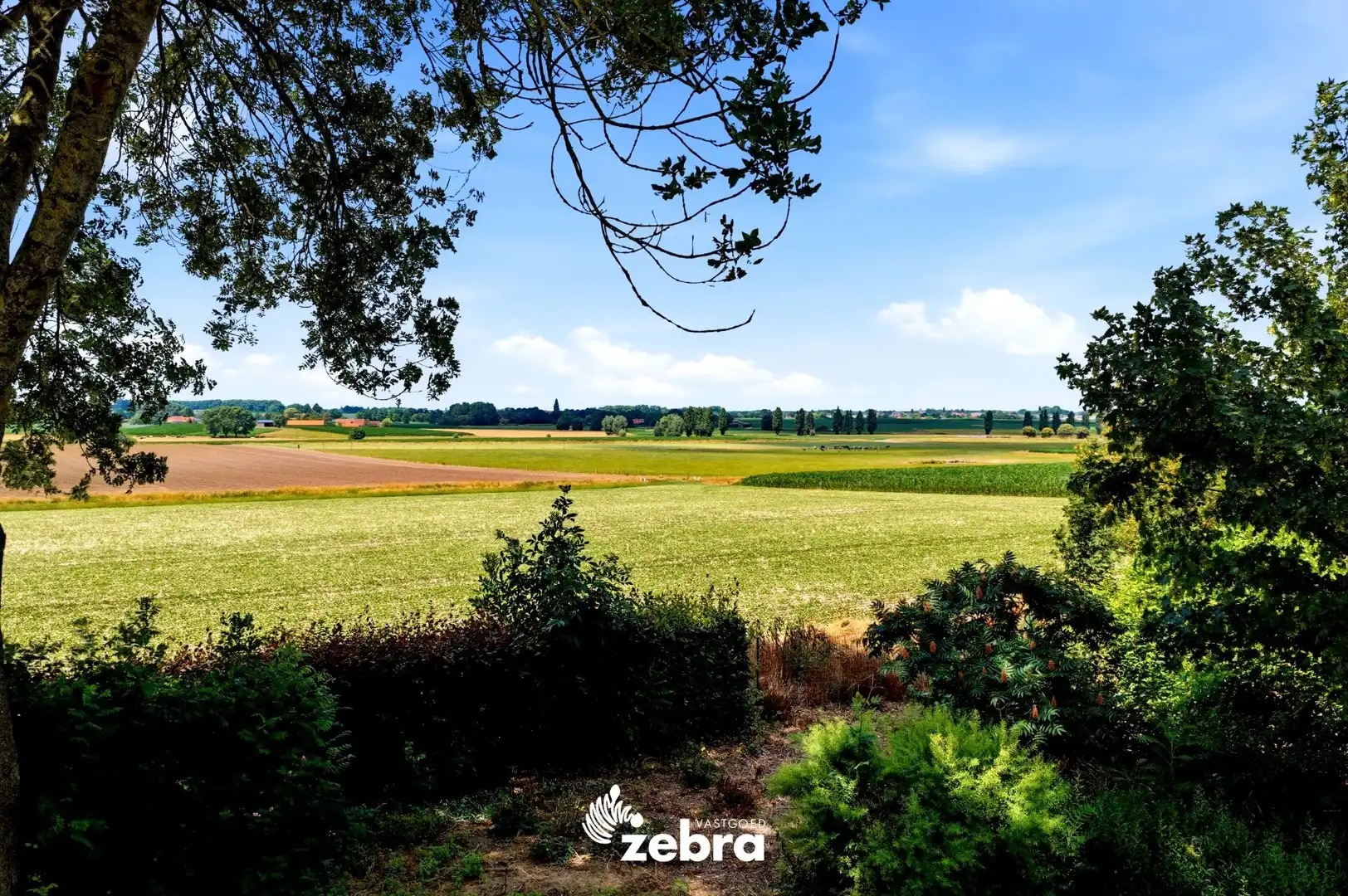 Te renoveren woning op een uitzonderlijk ruim perceel nabij het centrum van Tielt! foto 18